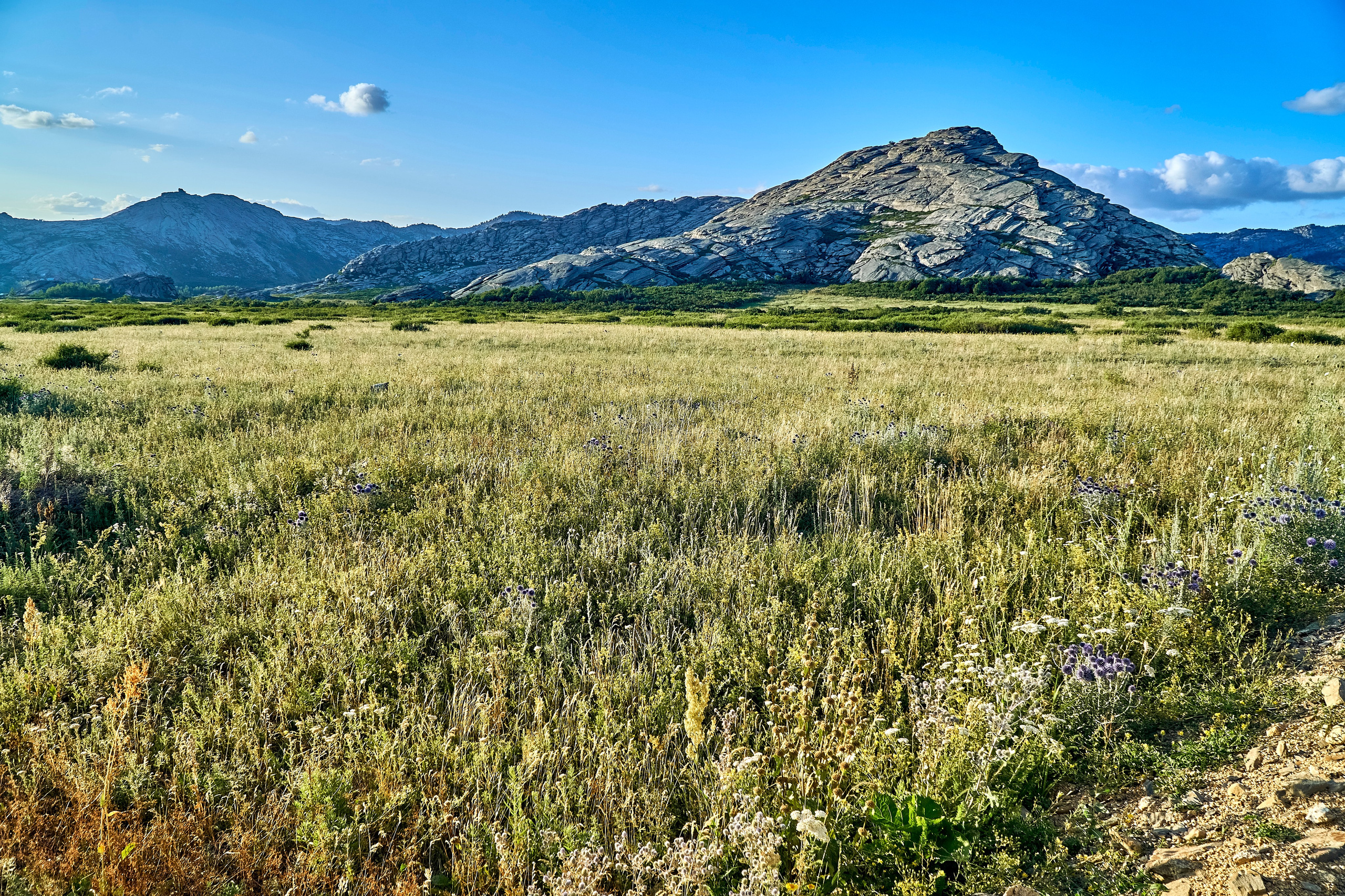 Сибины. Андрей Шипилов — Фотография & Видеография