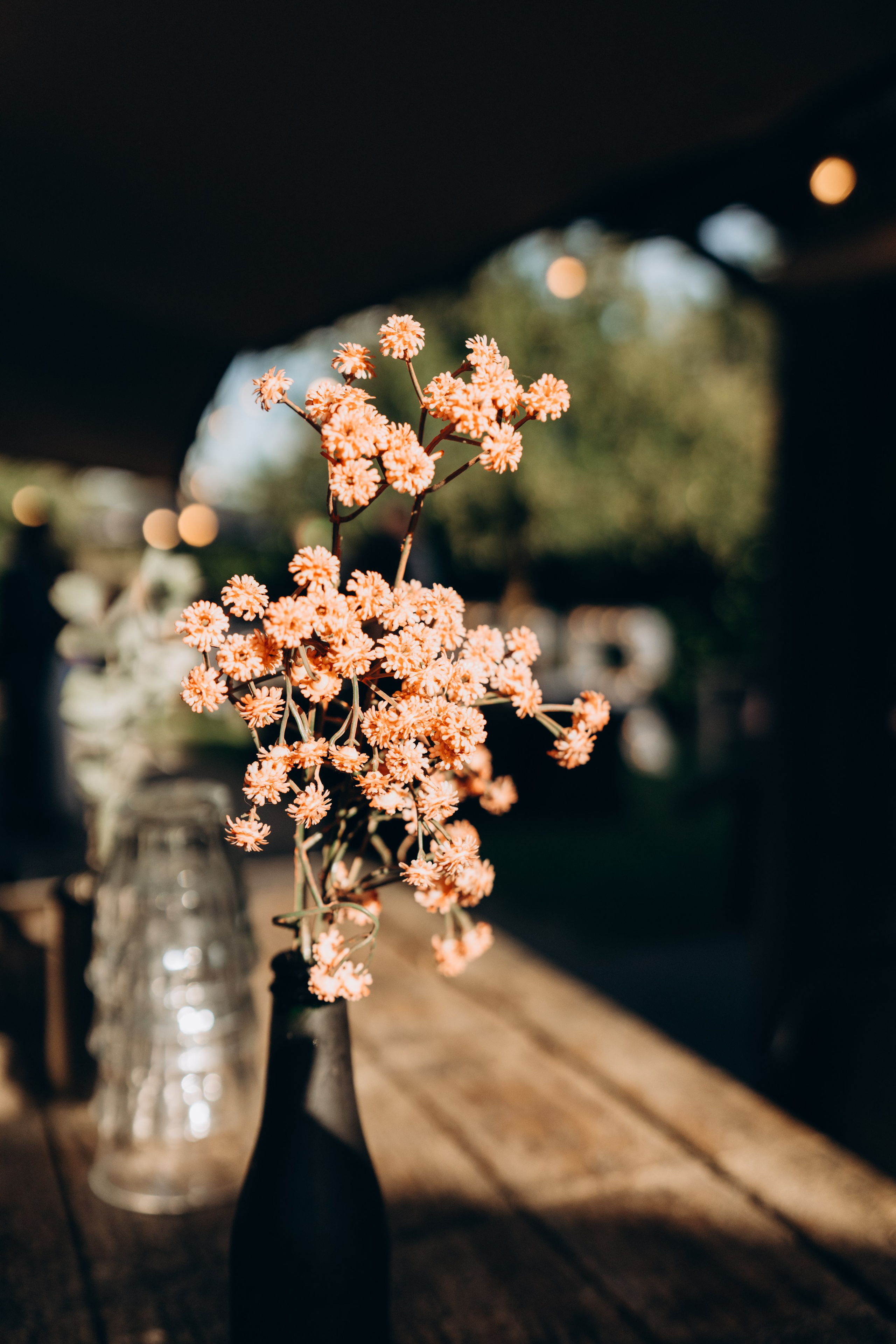 R&F. Photographer Netherlands