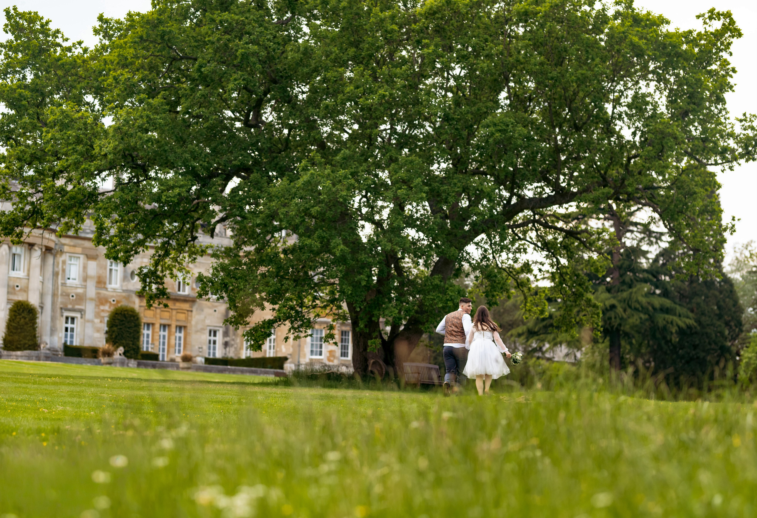 Wide view of the lawn and mature trees at Luton Hoo, Bedfordshire
