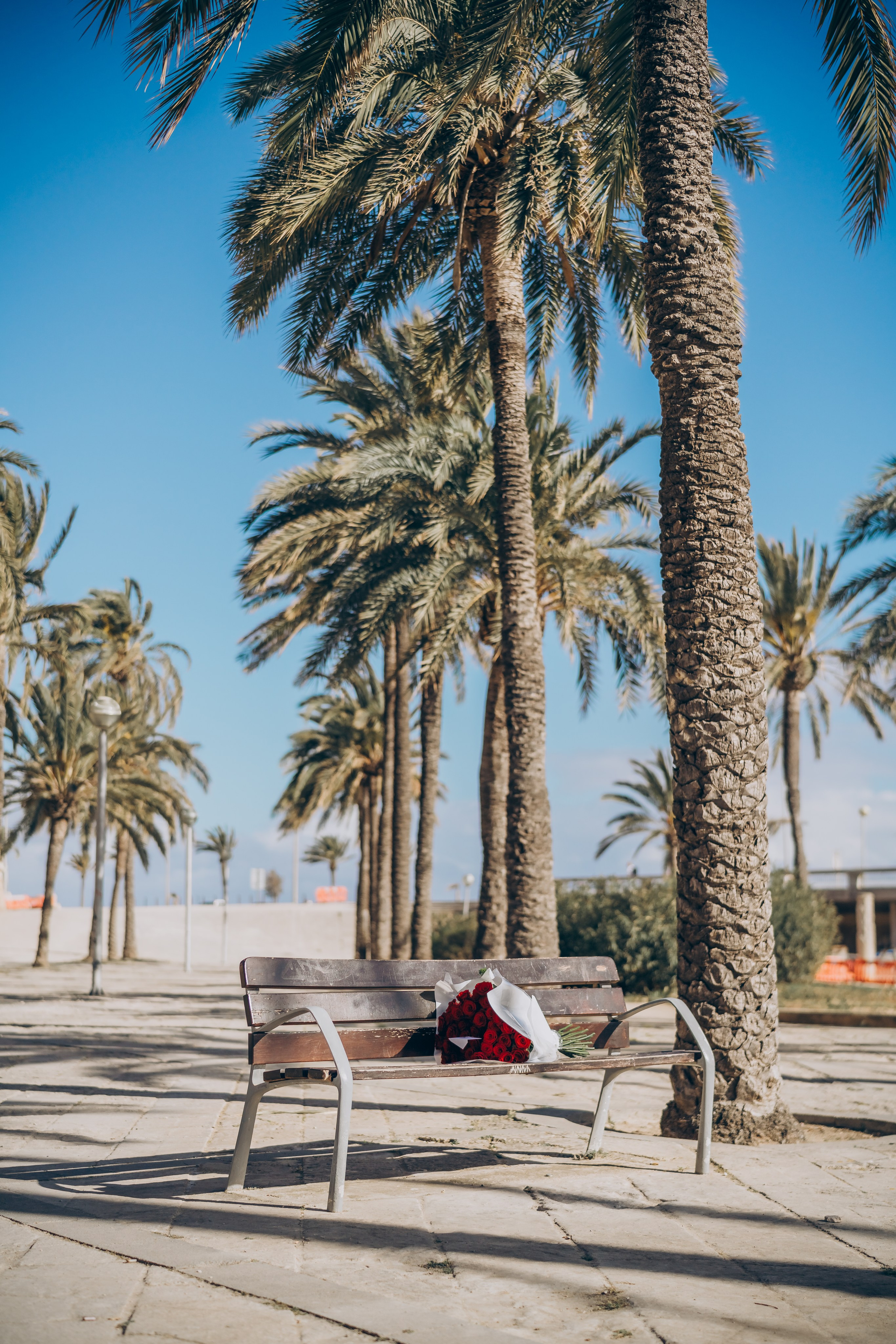 Love’s Promise. Фотограф у Пальма де Майорка