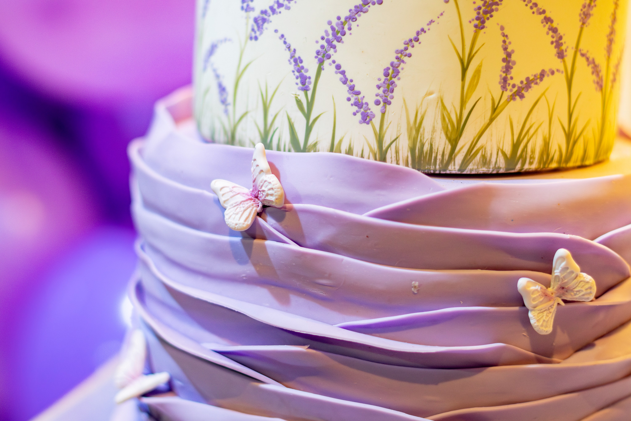 Stella — Aniversário 6 anos. Principal