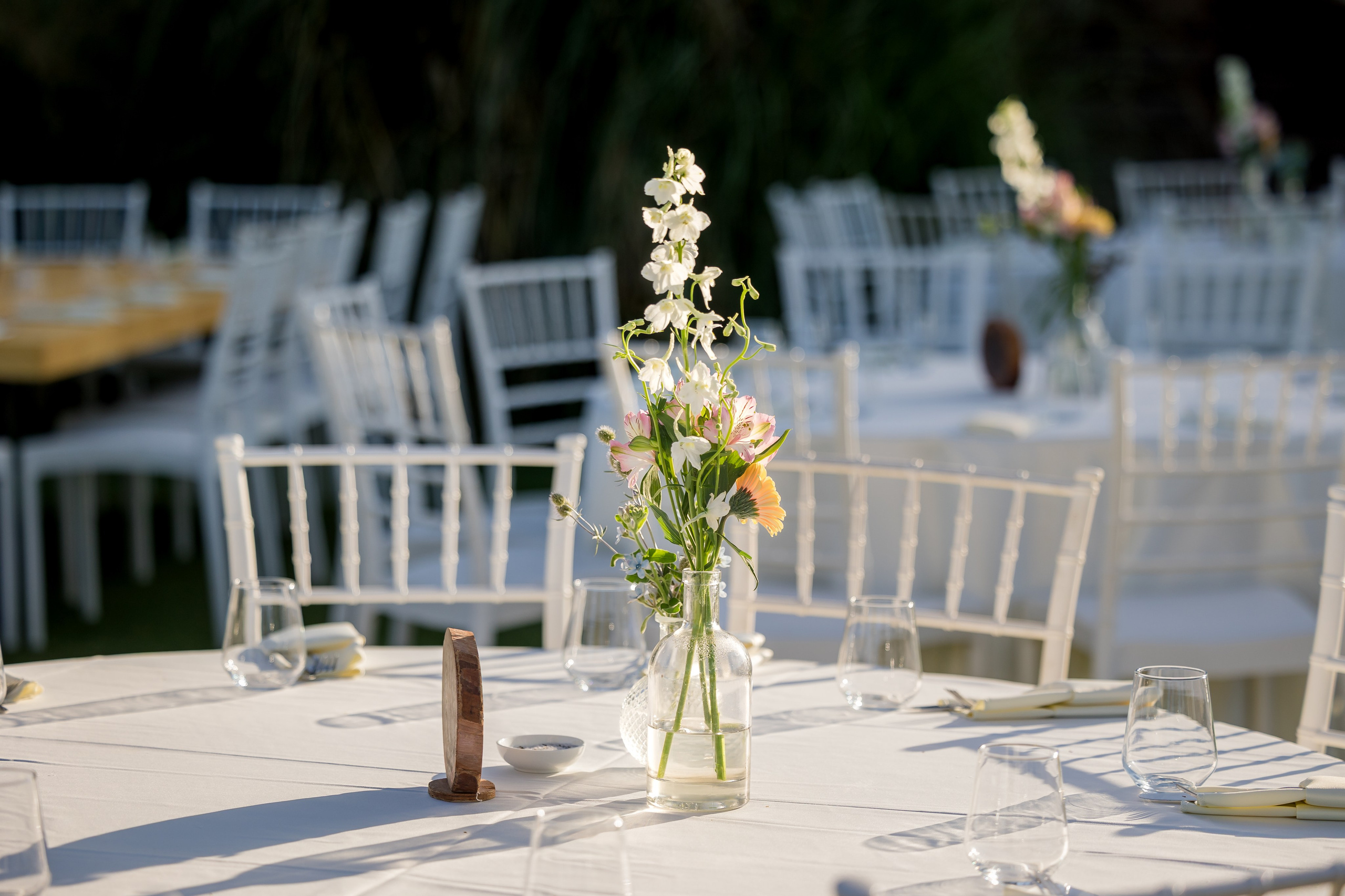 Tamar & Assaf. AMIR BUCHNIK PHOTOGRAPHER