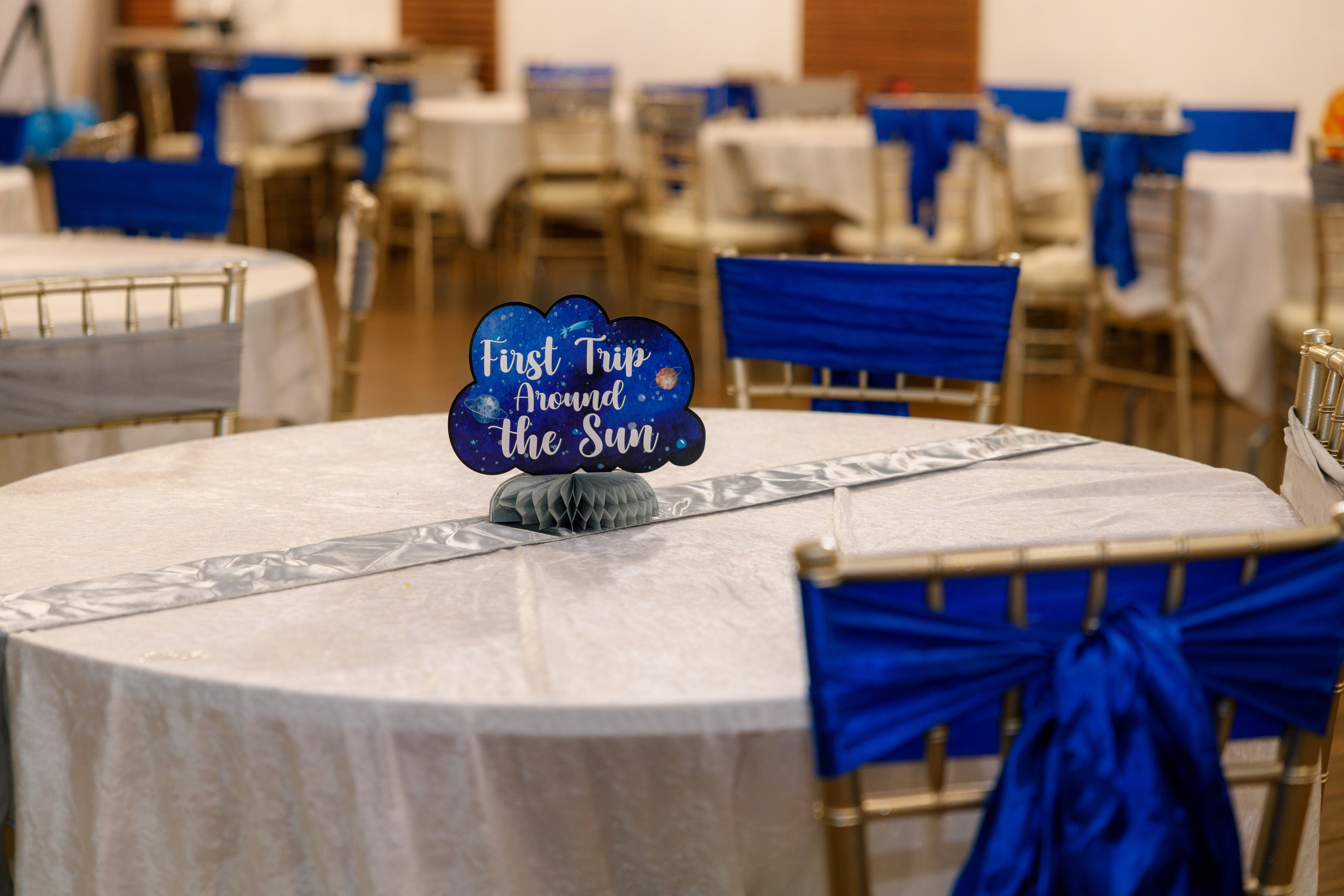 1st birthday. Family and Event photographer in Bay Area Elena Tiuriumina