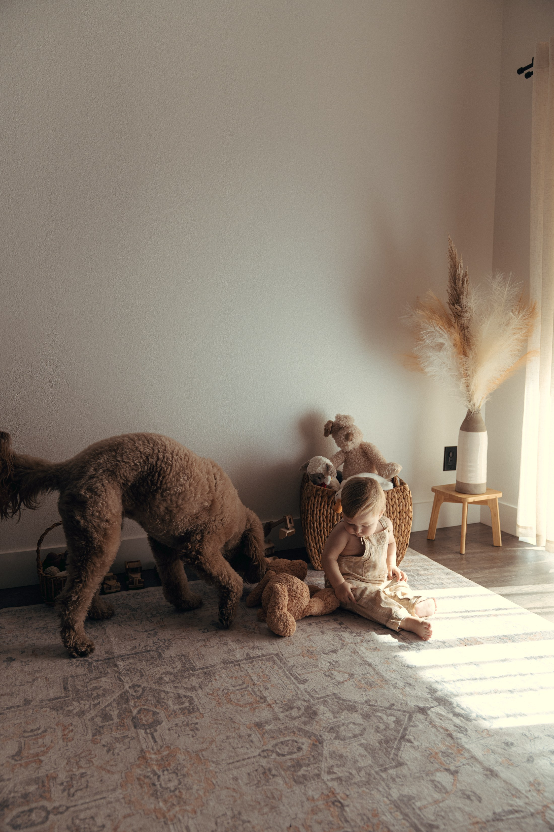 Liam Noah, Angela & Cooper. Wedding & elopement photographer Viktoriya Kravtsov. Las Vegas