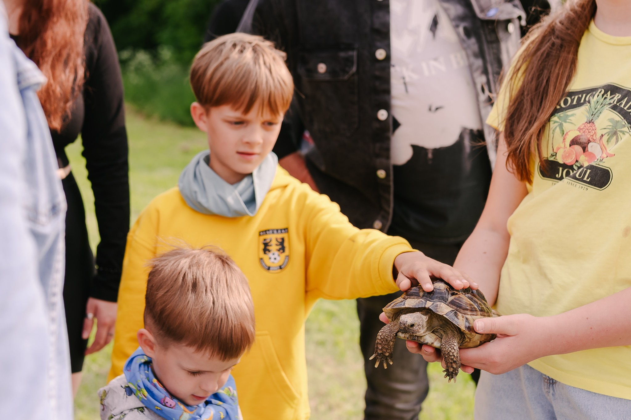 Saulė virė | Laimės festivalis. Rokas Baranauskas fotografija