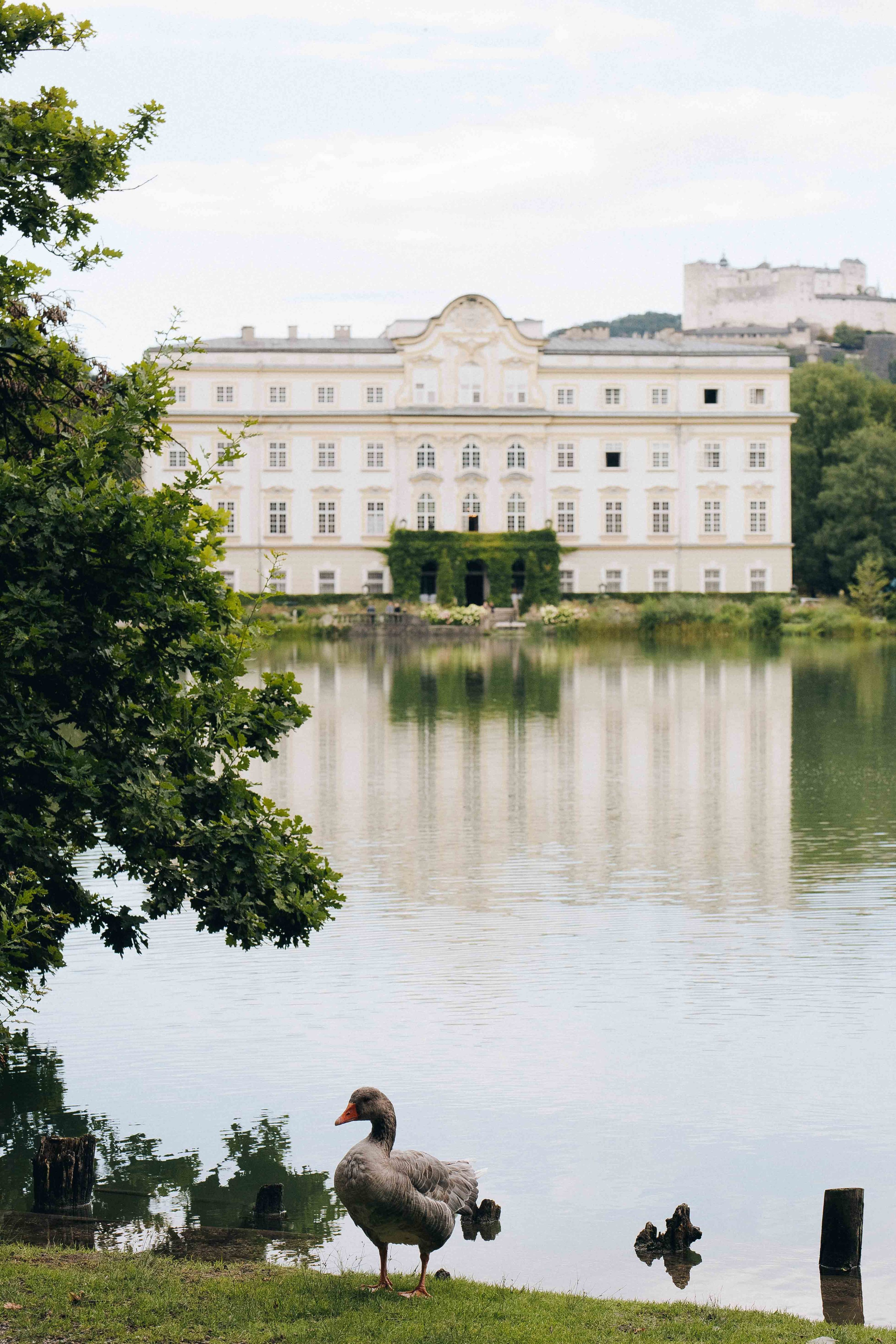 SCHLOSS LEOPOLDSKRON SALZBURG. Wedding&Event photographer Ismail Rzayev in Baku