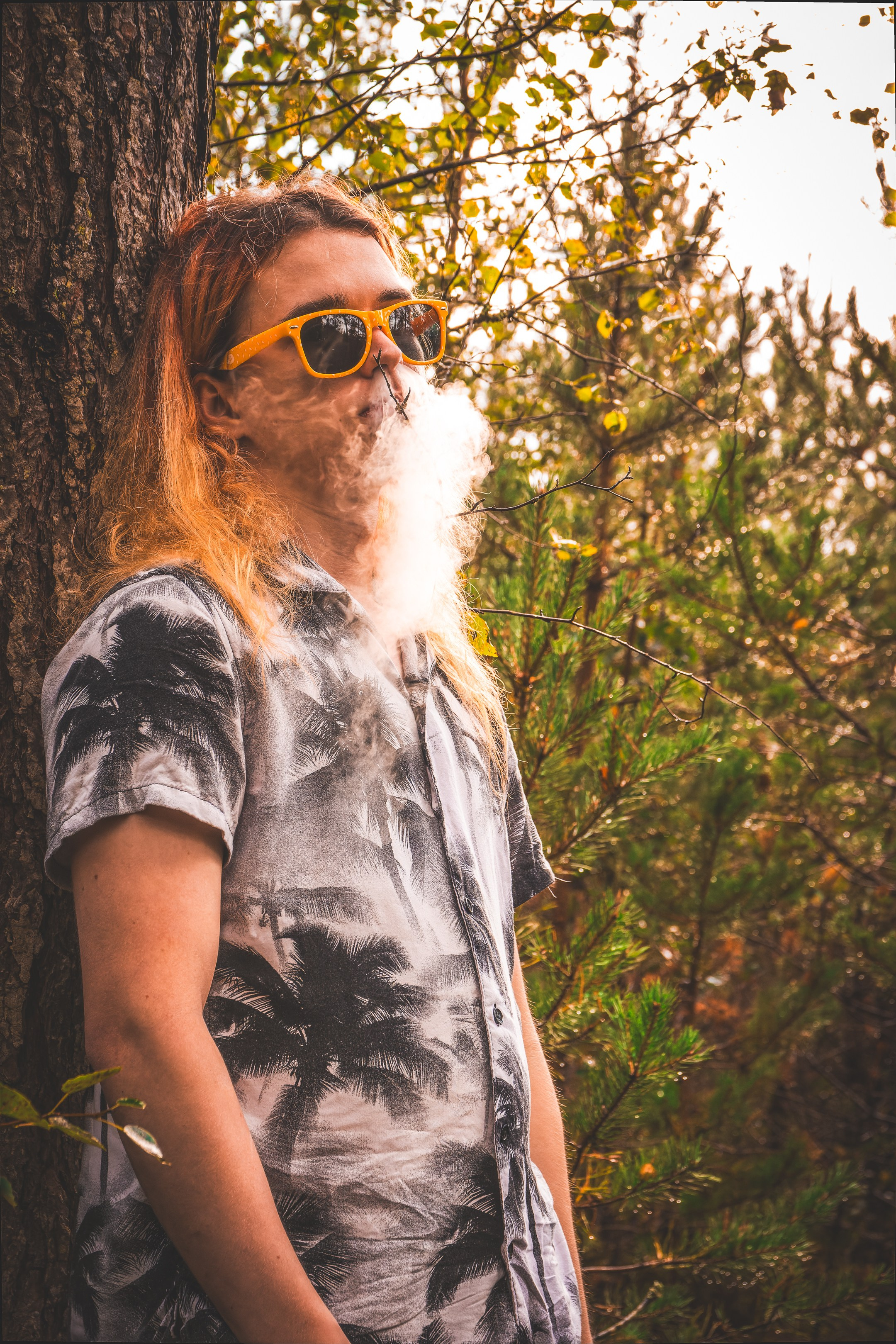 Mets, vihm ja jahedus (Dimitry). Nebula 25 — Fotod teie hingele