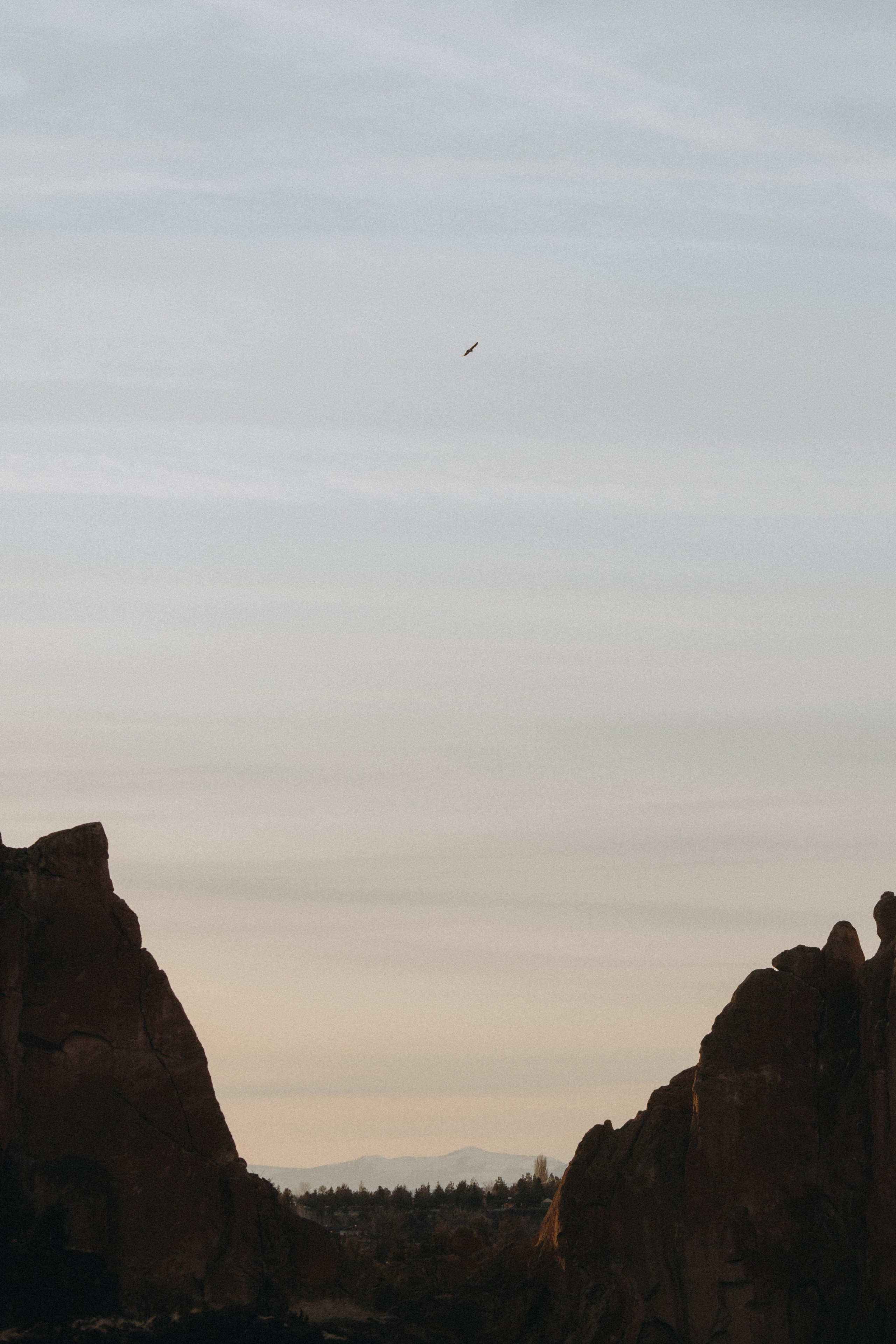 Shelby & Riley Engagement Session | Smith Rock State Park, Oregon. Portland & Seattle Wedding, Elopement & Engagement Photographer | Georgy Shishkin