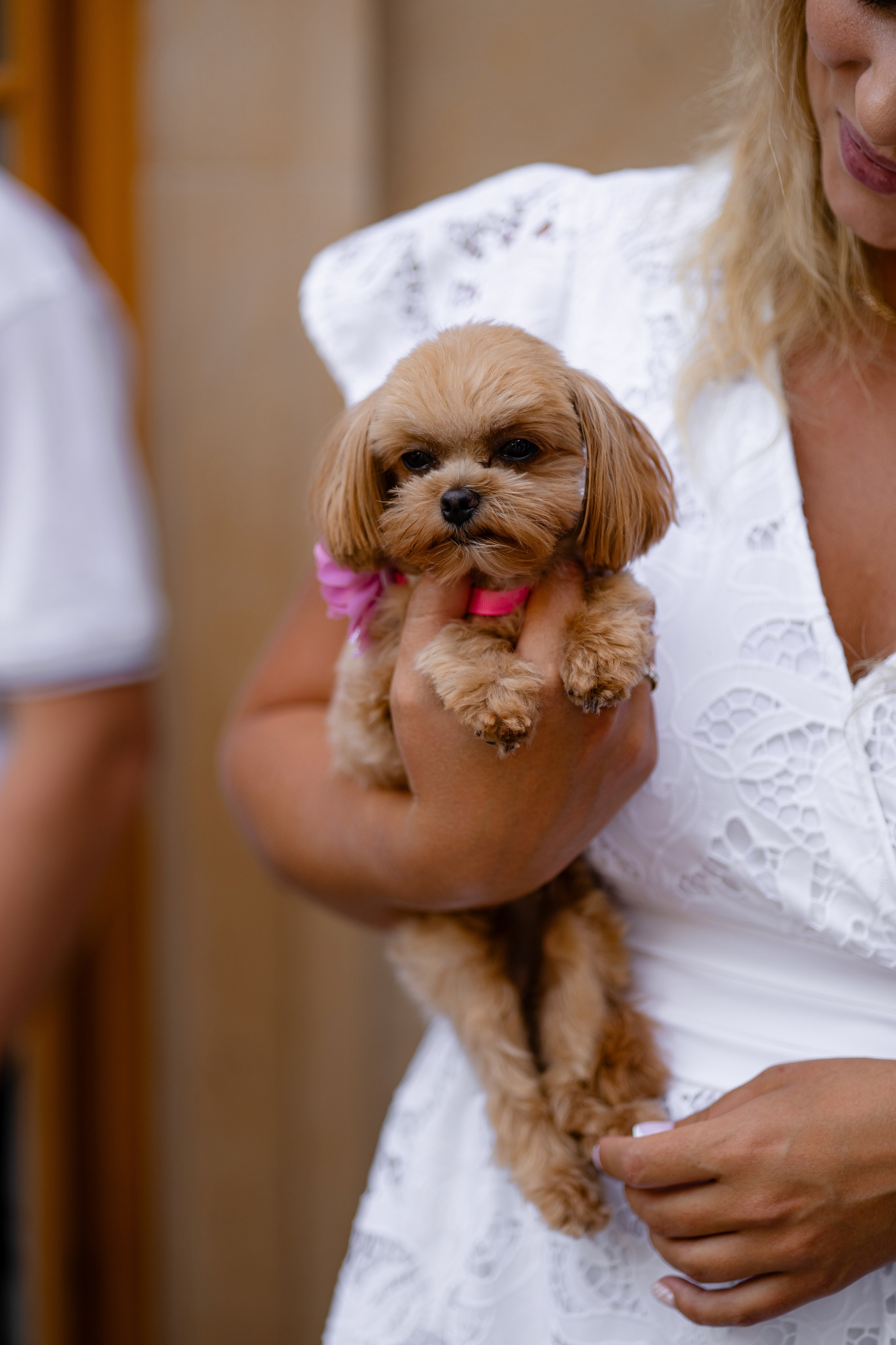 Олександр+Евеліна. Весільний, сімейний фотограф Варшава