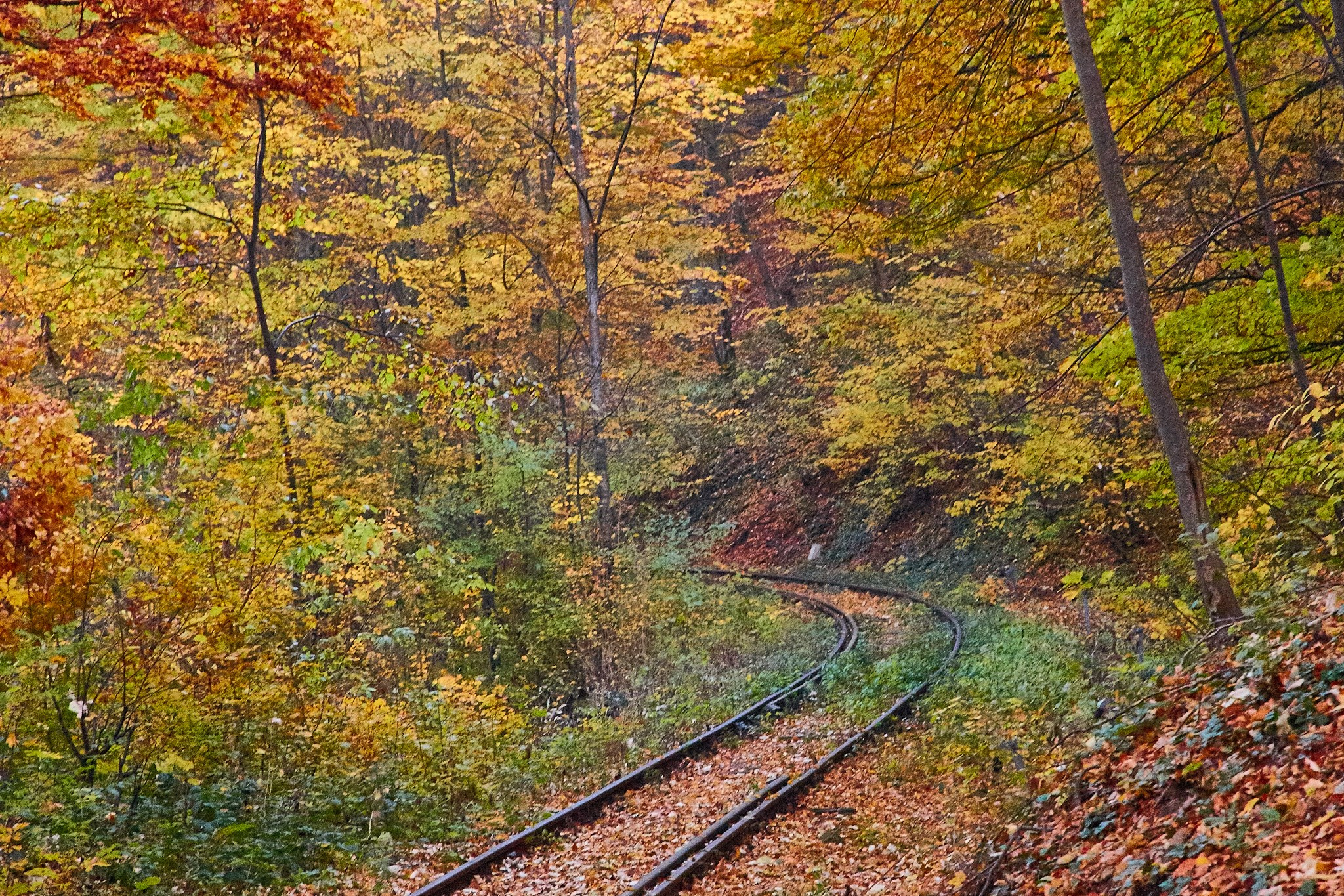 Toamna pe calea ferată Oravița-Anina, jud. Caraș-Severin. Pagina principală