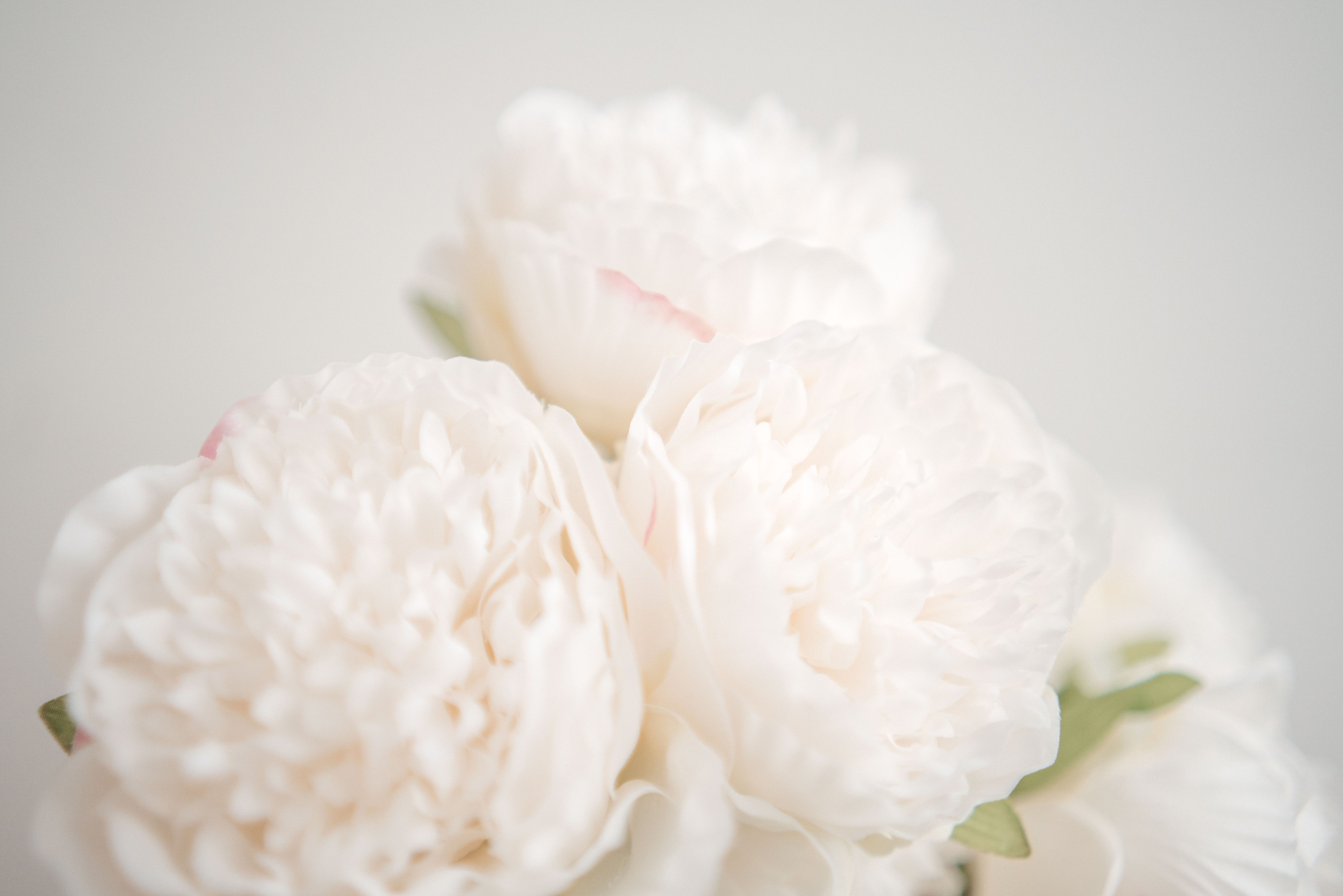 Testimonials | Portrait Photography Burnaby