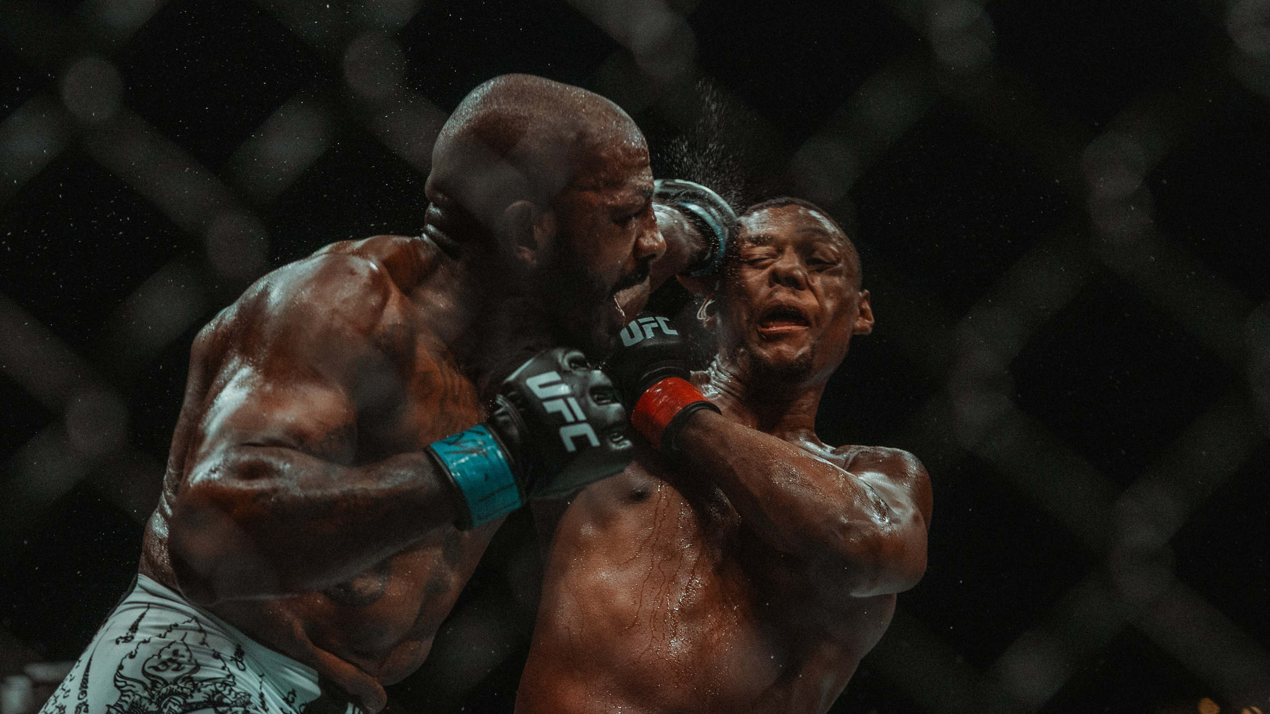 UFC. Commercial and Event photographer Eltaj