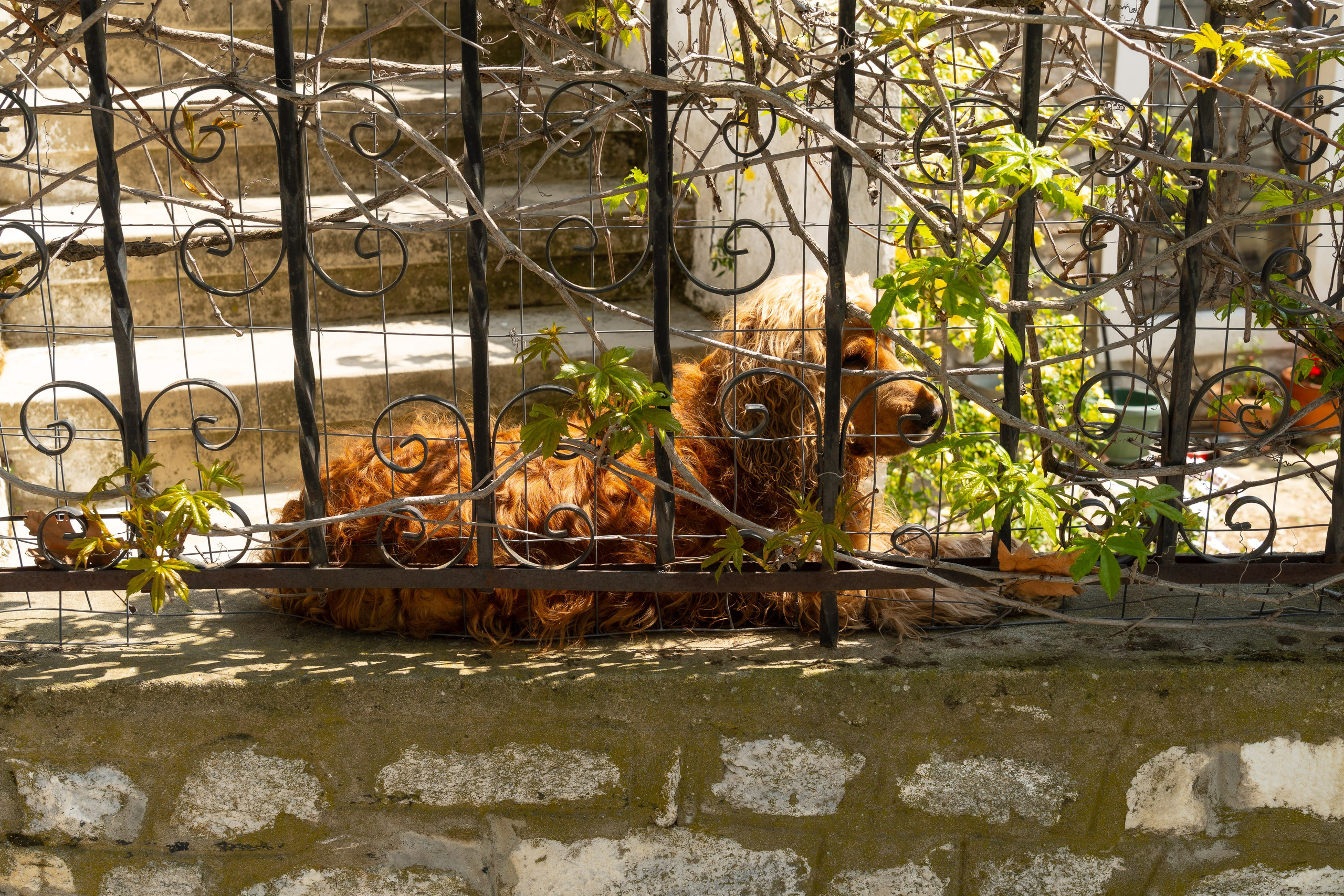 Thasos 2025. Fotografiideplacere.net