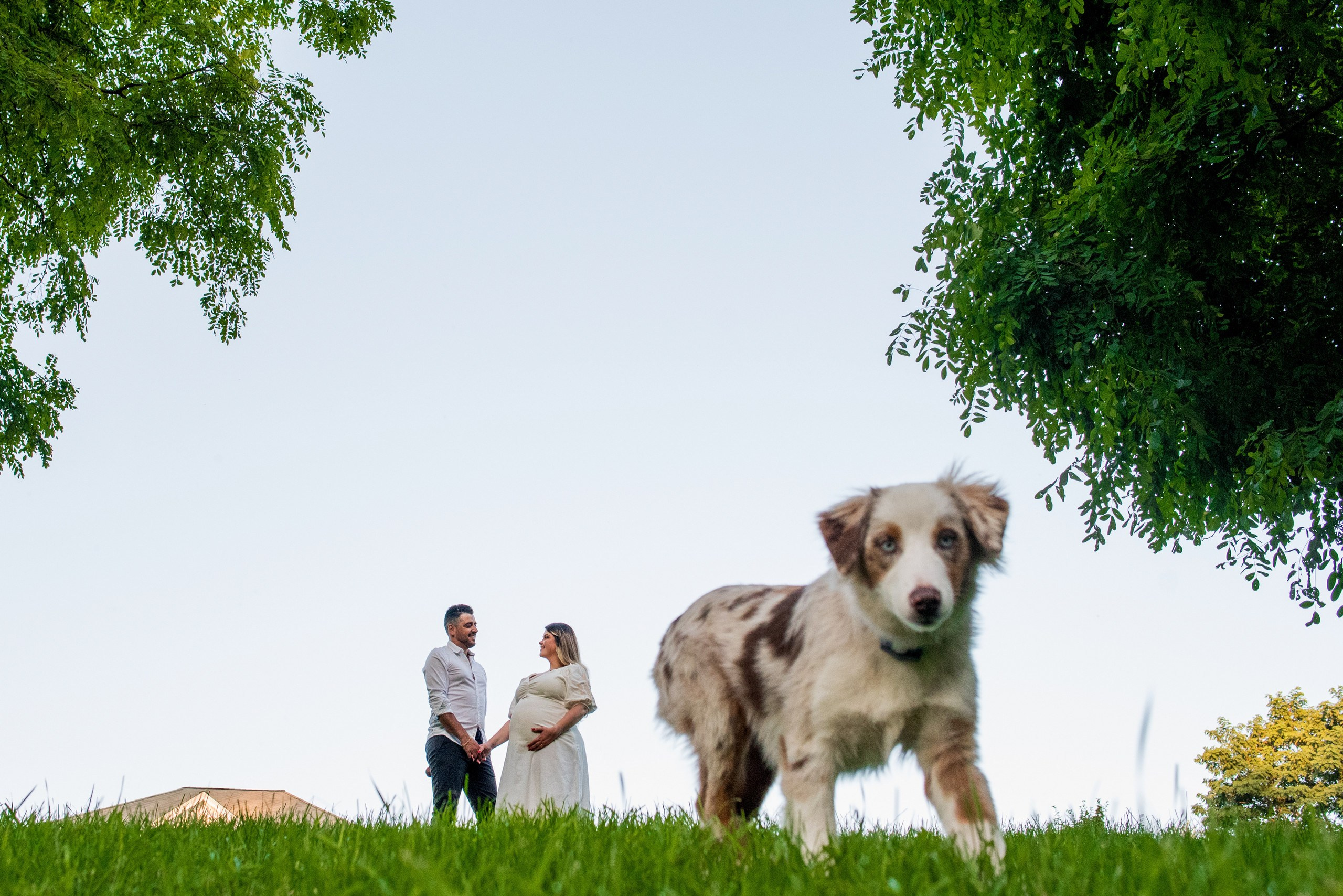 Family. Wedding photographer in Orlando, Boston & New York Anderson Marques