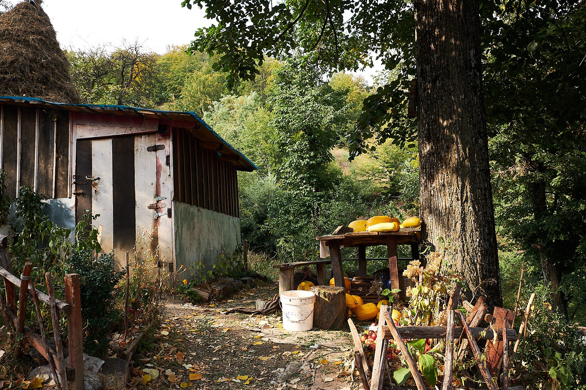 Ineleț, jud. Caraș-Severin. Pagina principală