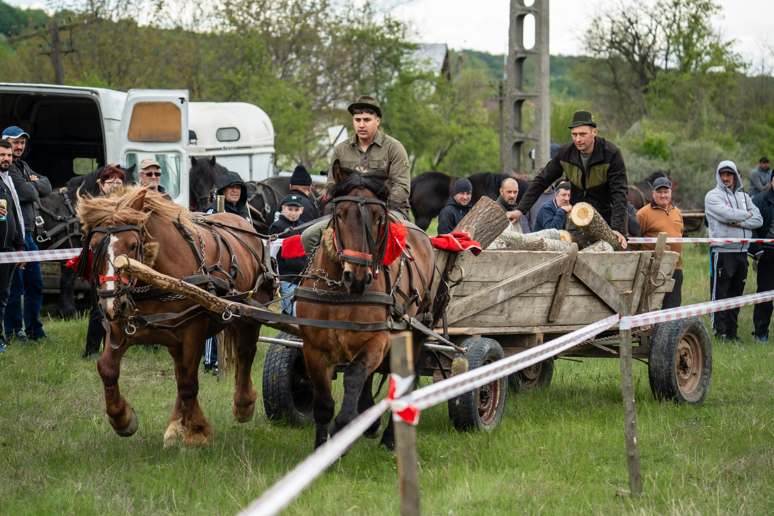 Concurs Ecvestru Vărbilău ediția a 4-a. Mihai Alexandra Events