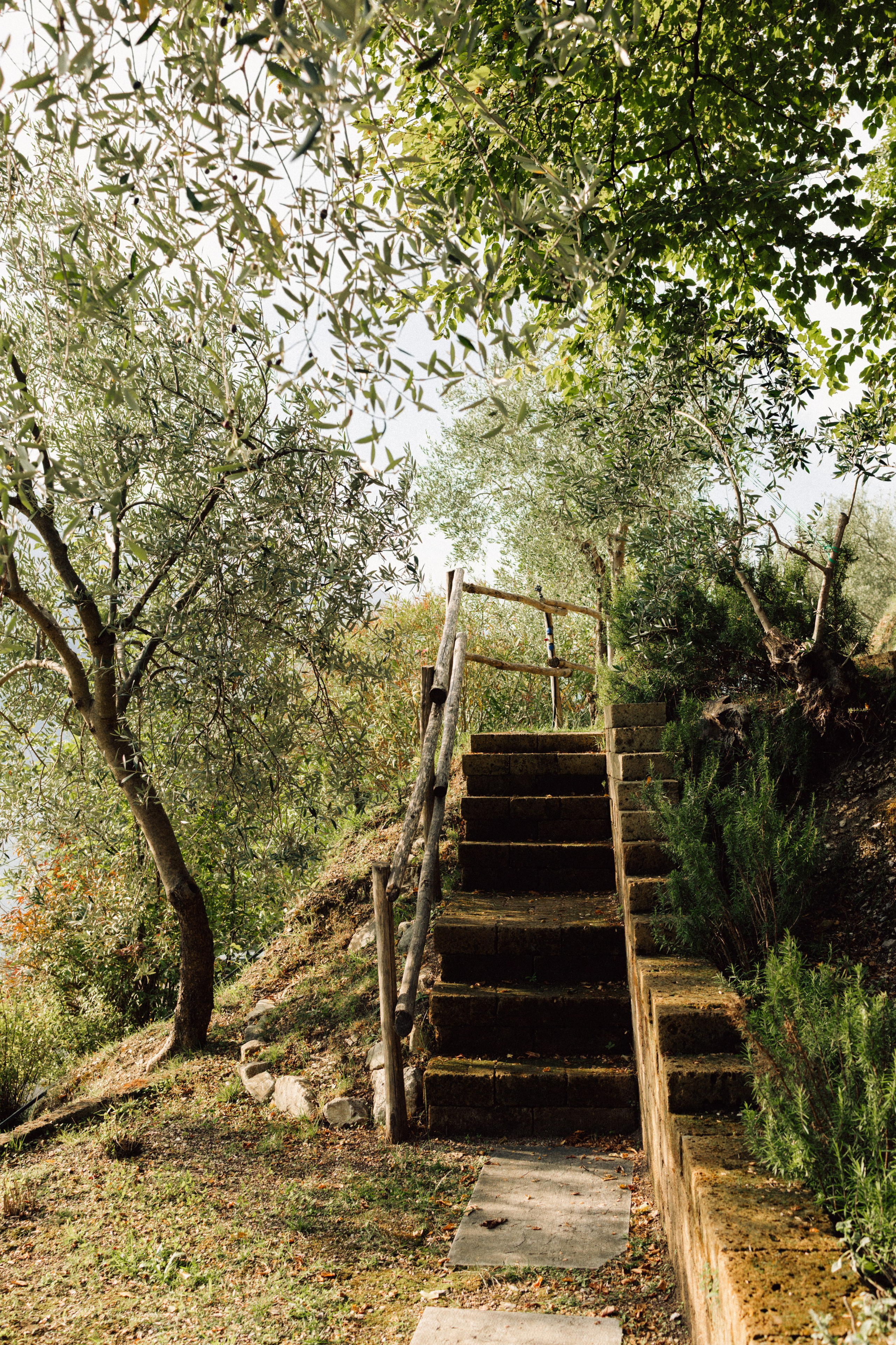 Wedding at Lake Garda in Limone sul Garda and Malcesine, Italy — Sofia and Egor. Liza Bizzaro — Italy Wedding, Love Story & Portrait Photographer in Milan, Turin, Piedmont and Across Italy