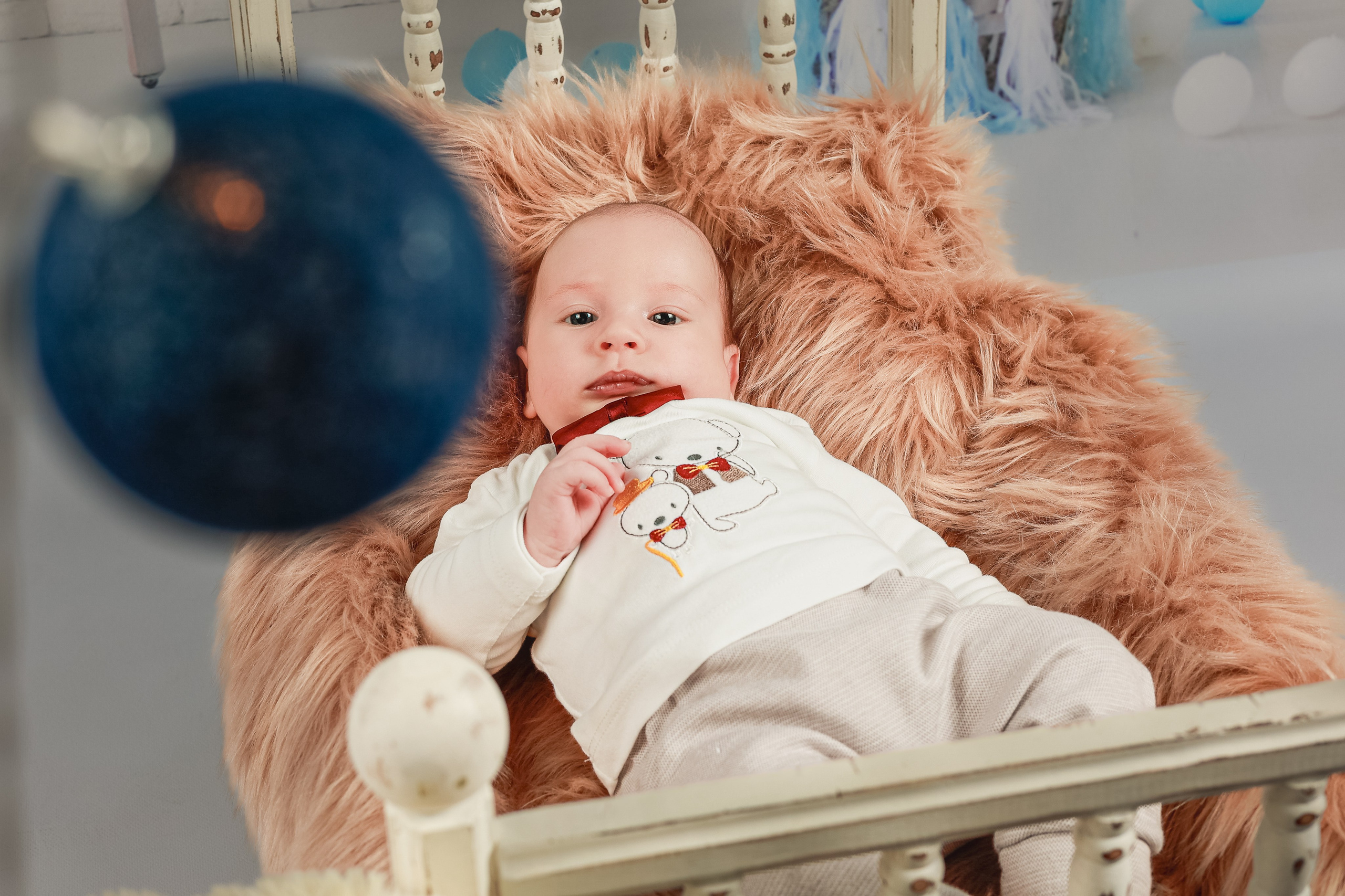 Dominic. FotoACTIV.ro - Imaginea ta contează