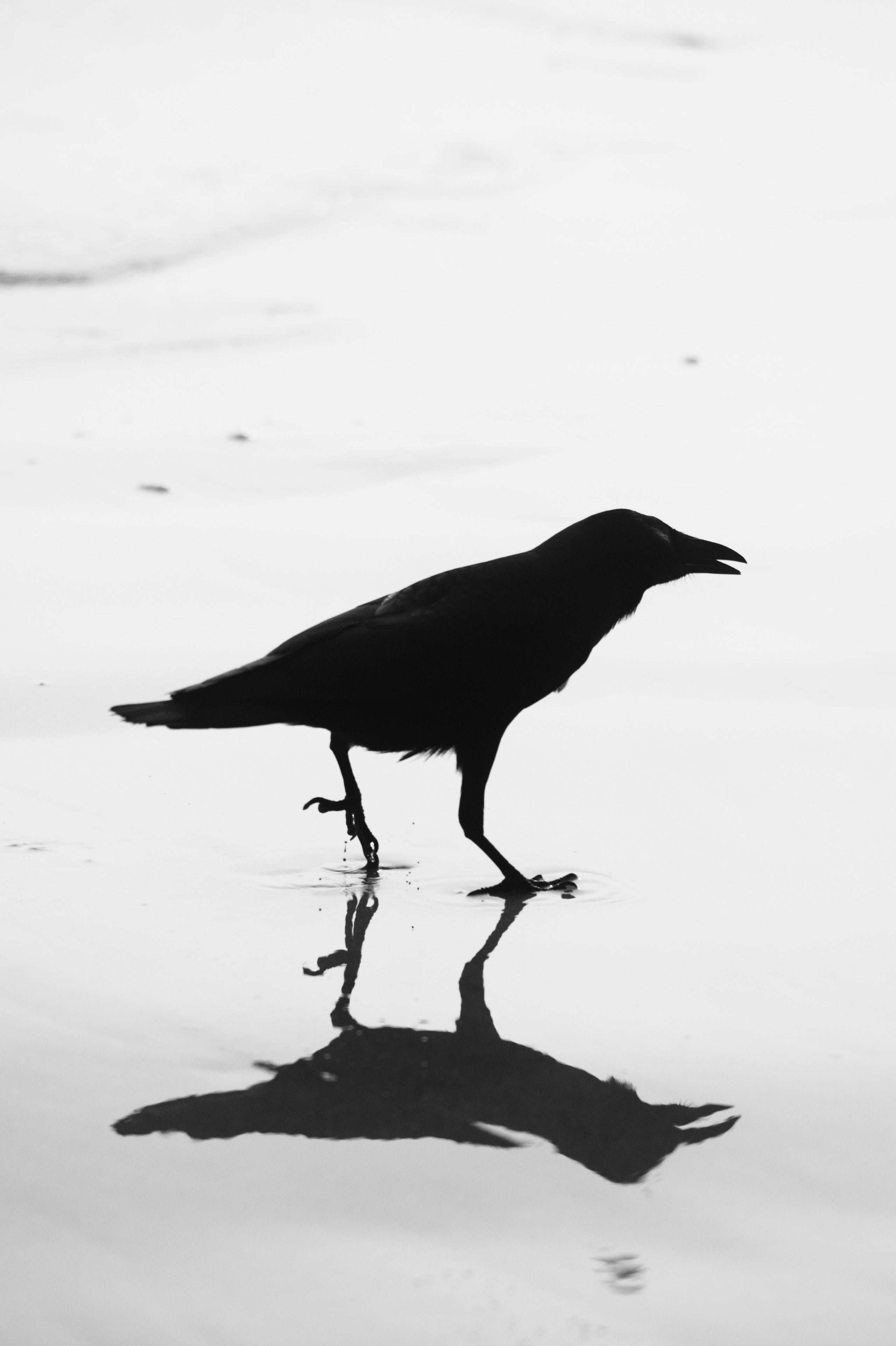 Surfcamp Black&White