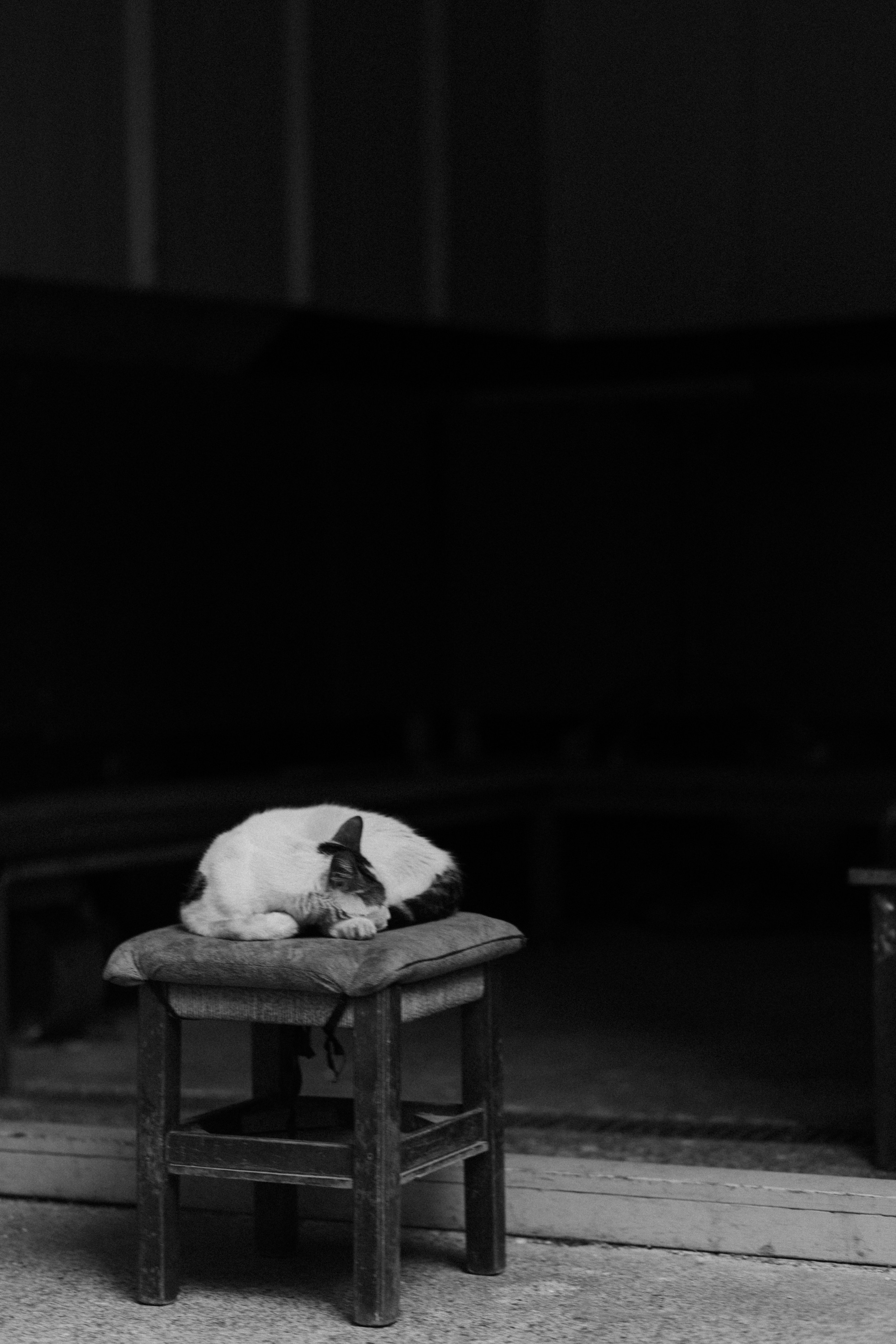 Стамбул. Фотопрогулки в Стамбуле