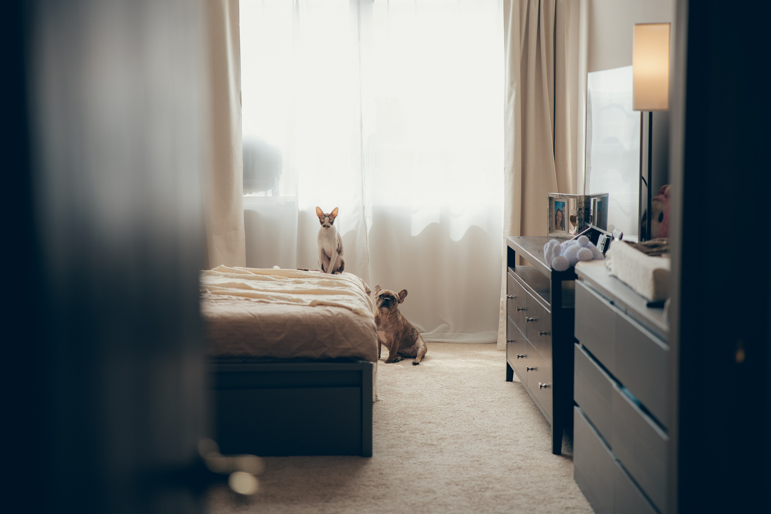 In-Home Baby Photoshoot. Family and children’s photographer and videographer in Chicago