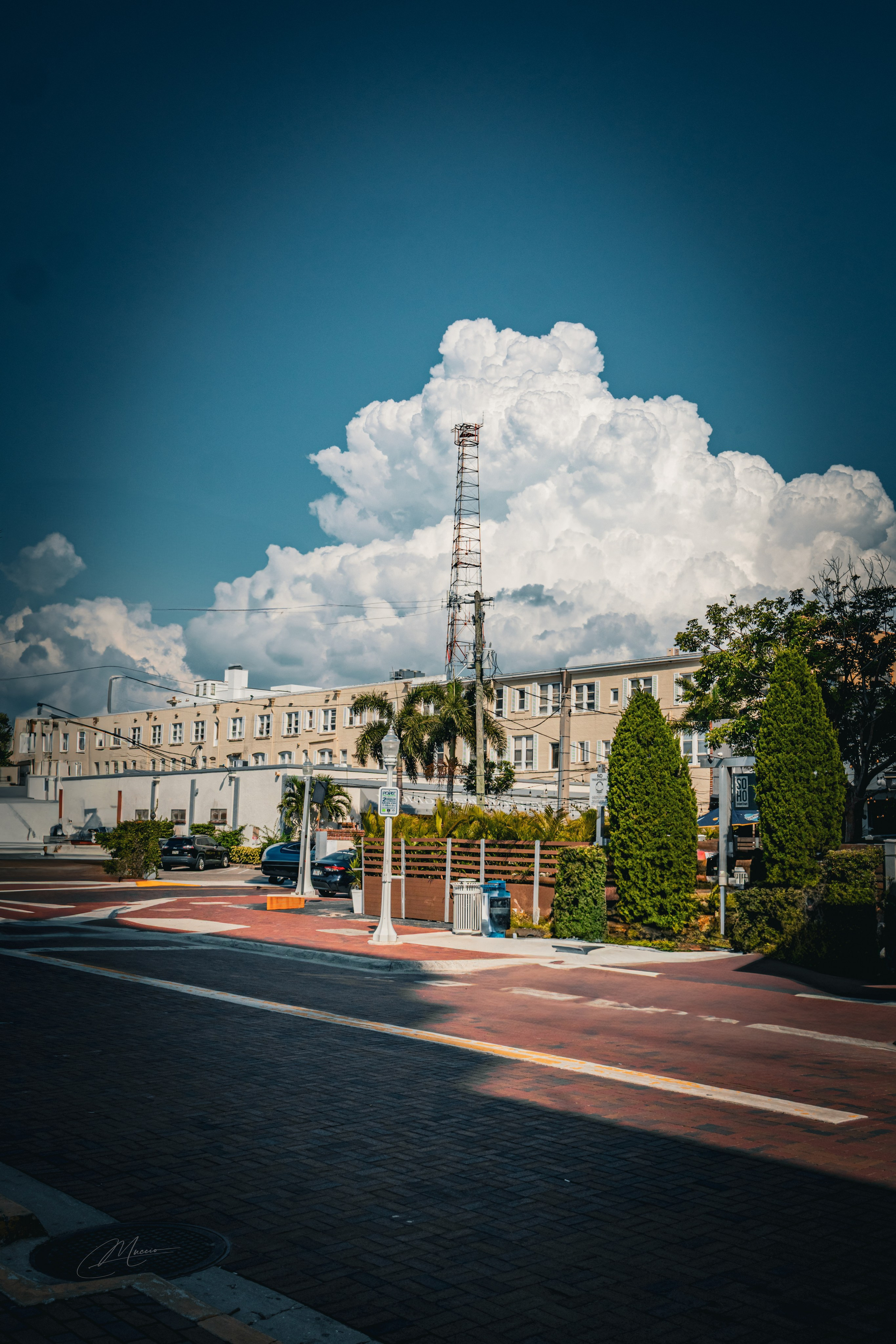 Florida Man — Fort Myers Walkabout. Out and About 239