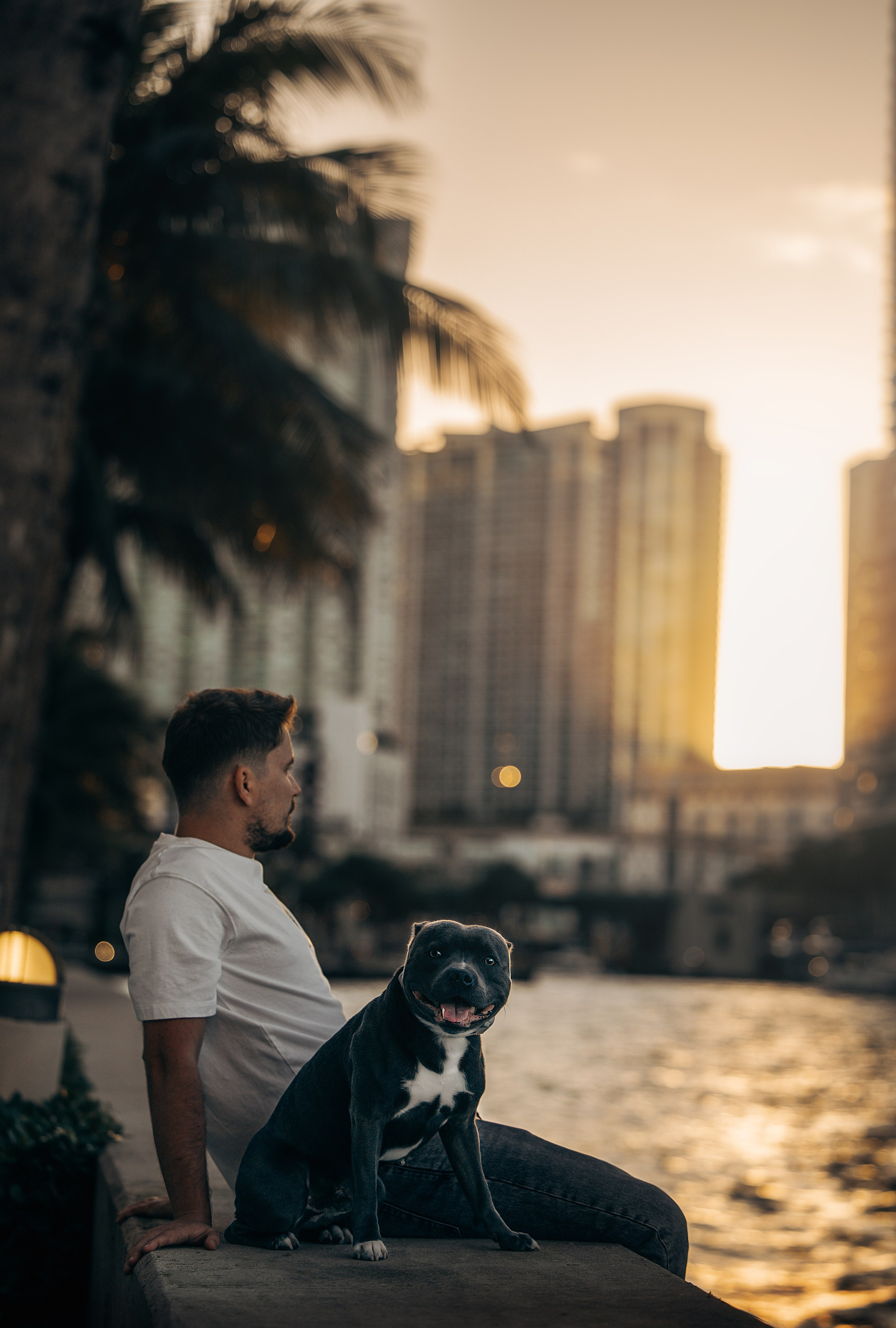 Cosmo & Serge. Pet Photographer Viktoriya Aleshenko