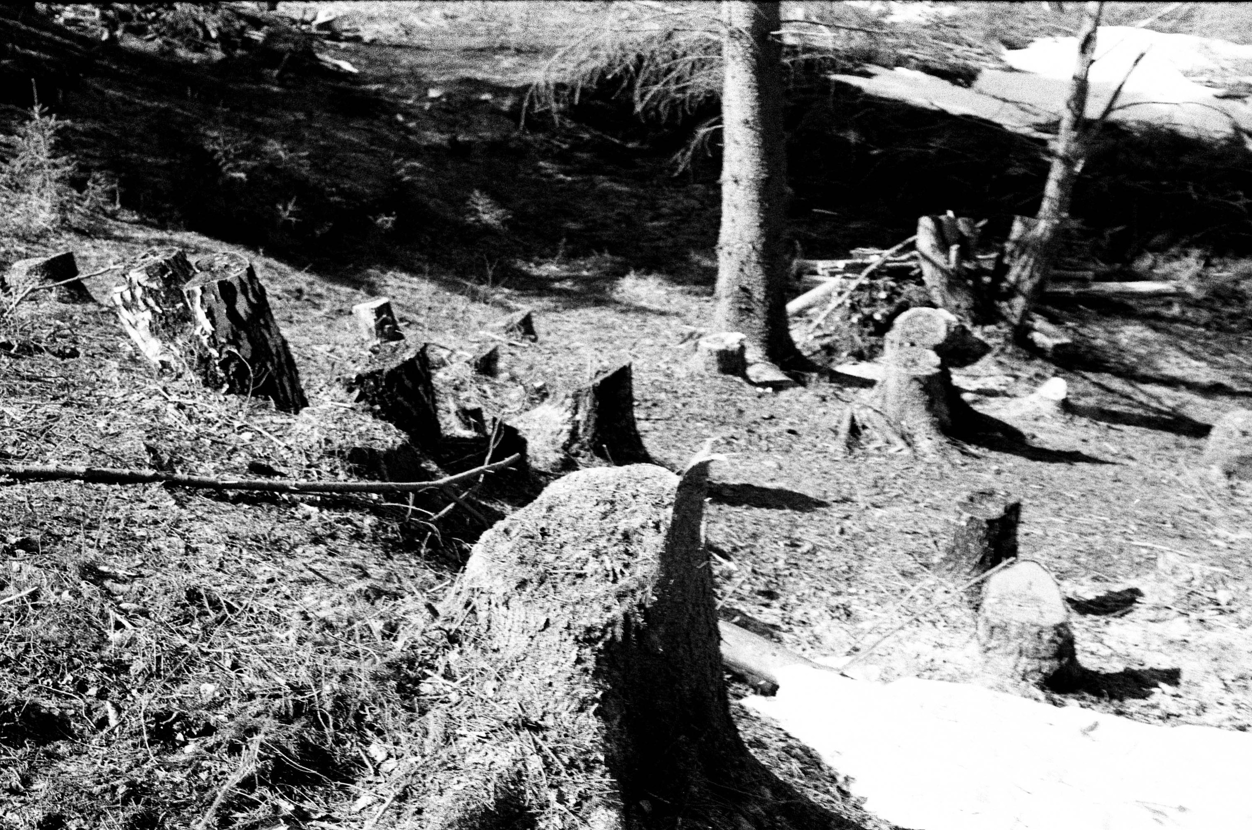 FADE. «Фотохроники»