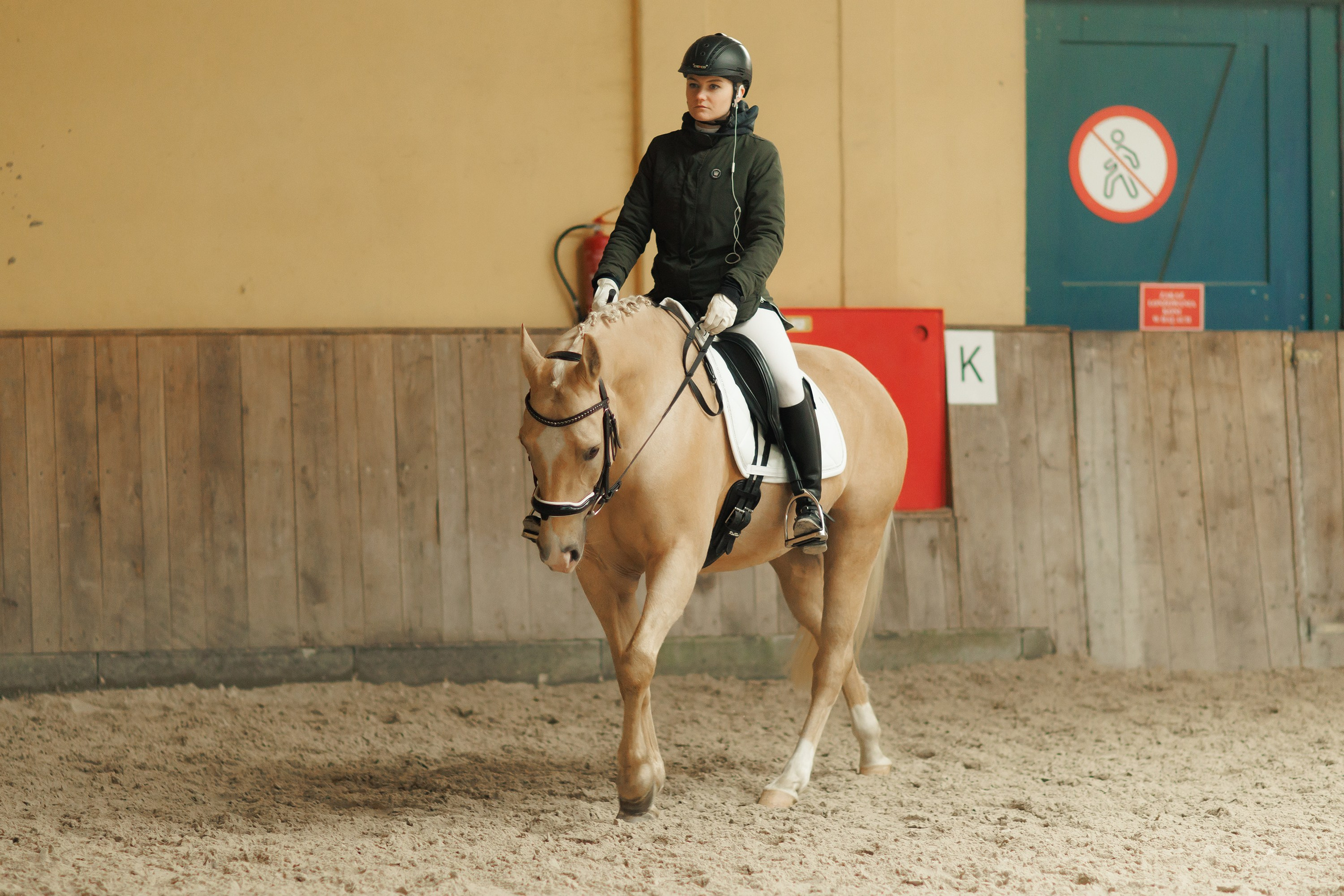 Partynice dressage \ feb'25. Kaja | fotograf we Wrocławiu | ludzie i psy