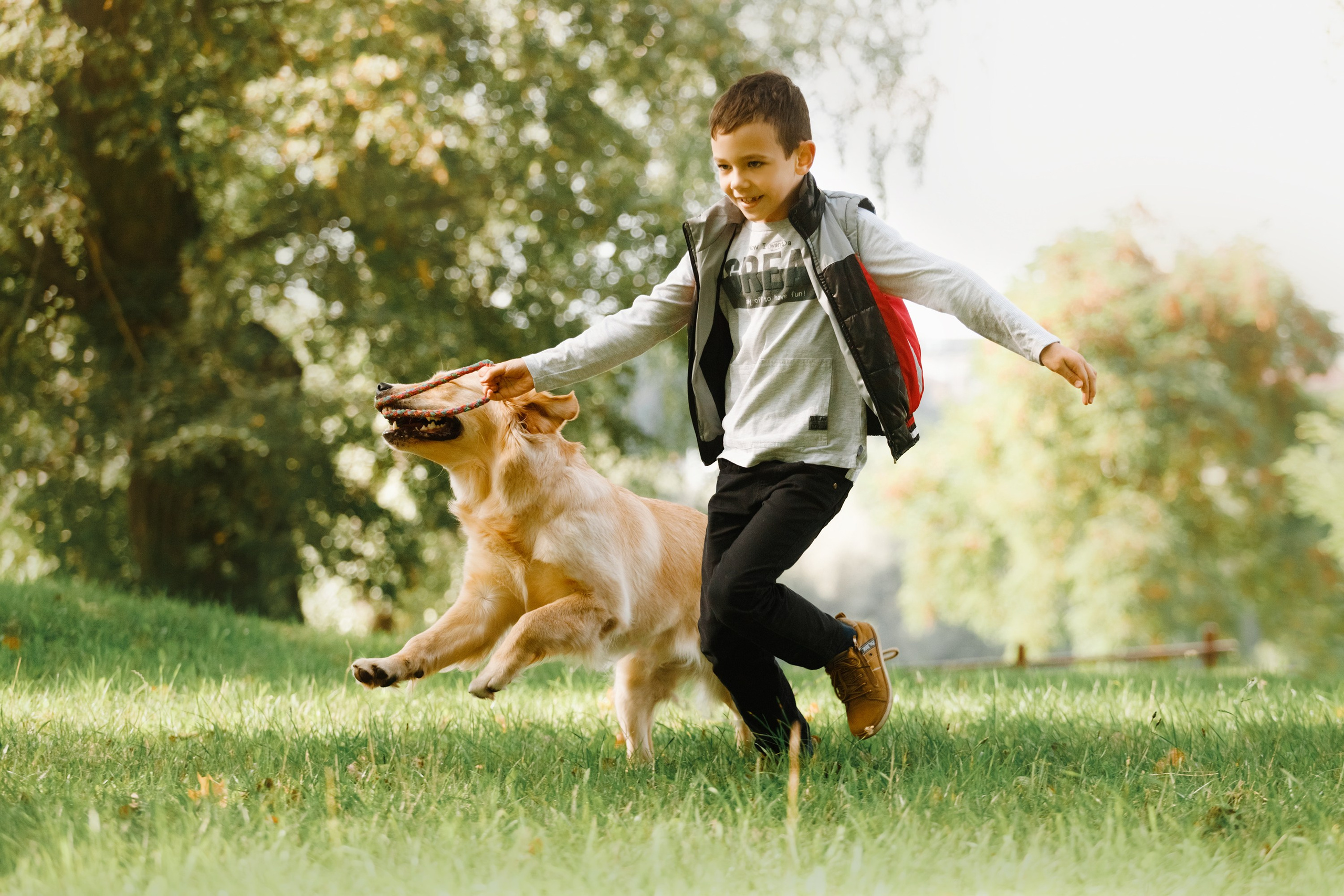 Summer photo day for dog handler. Kaja | fotograf we Wrocławiu | ludzie i psy
