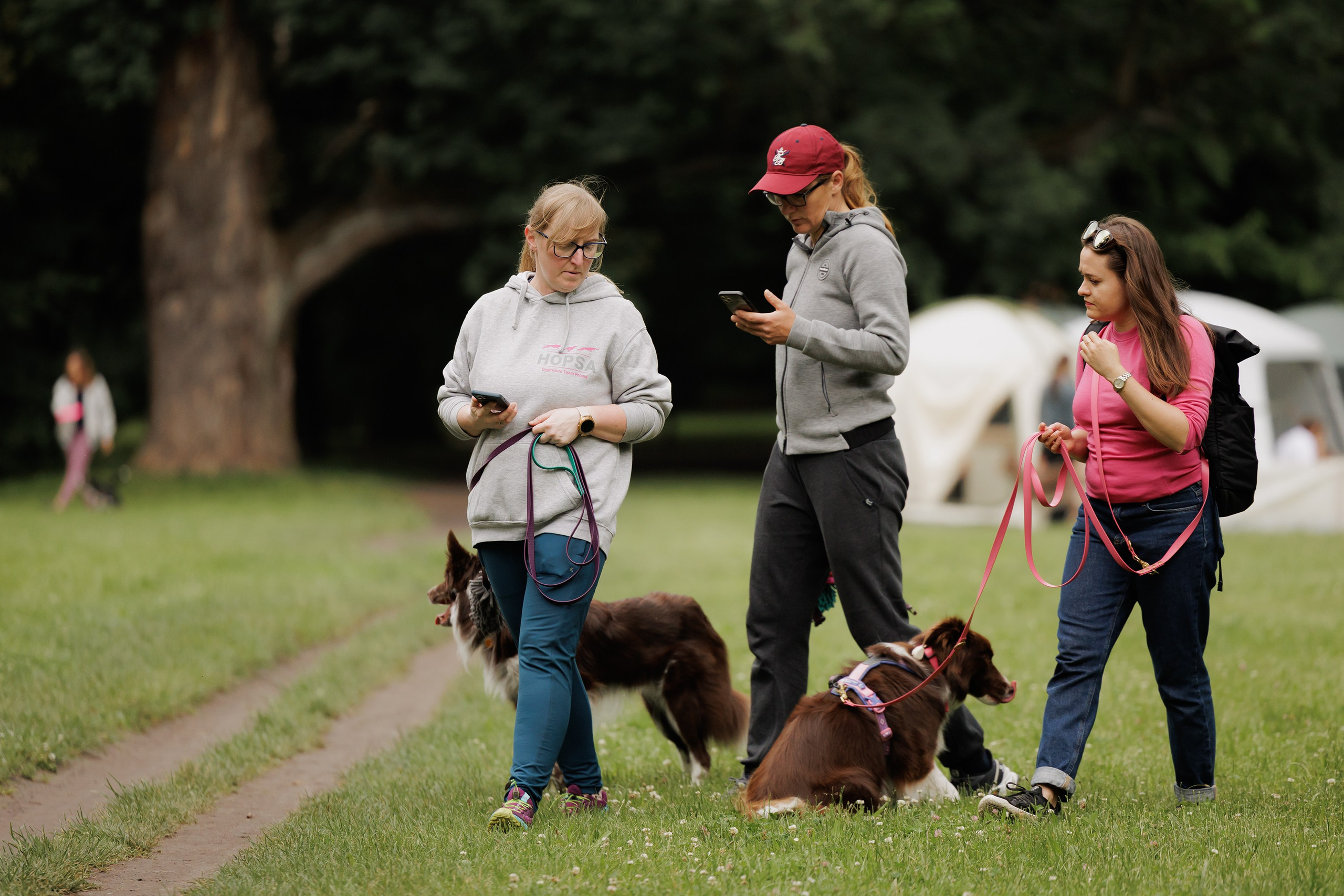 Latające psy, Wrocław'25. Kaja | fotograf psów we Wrocławiu