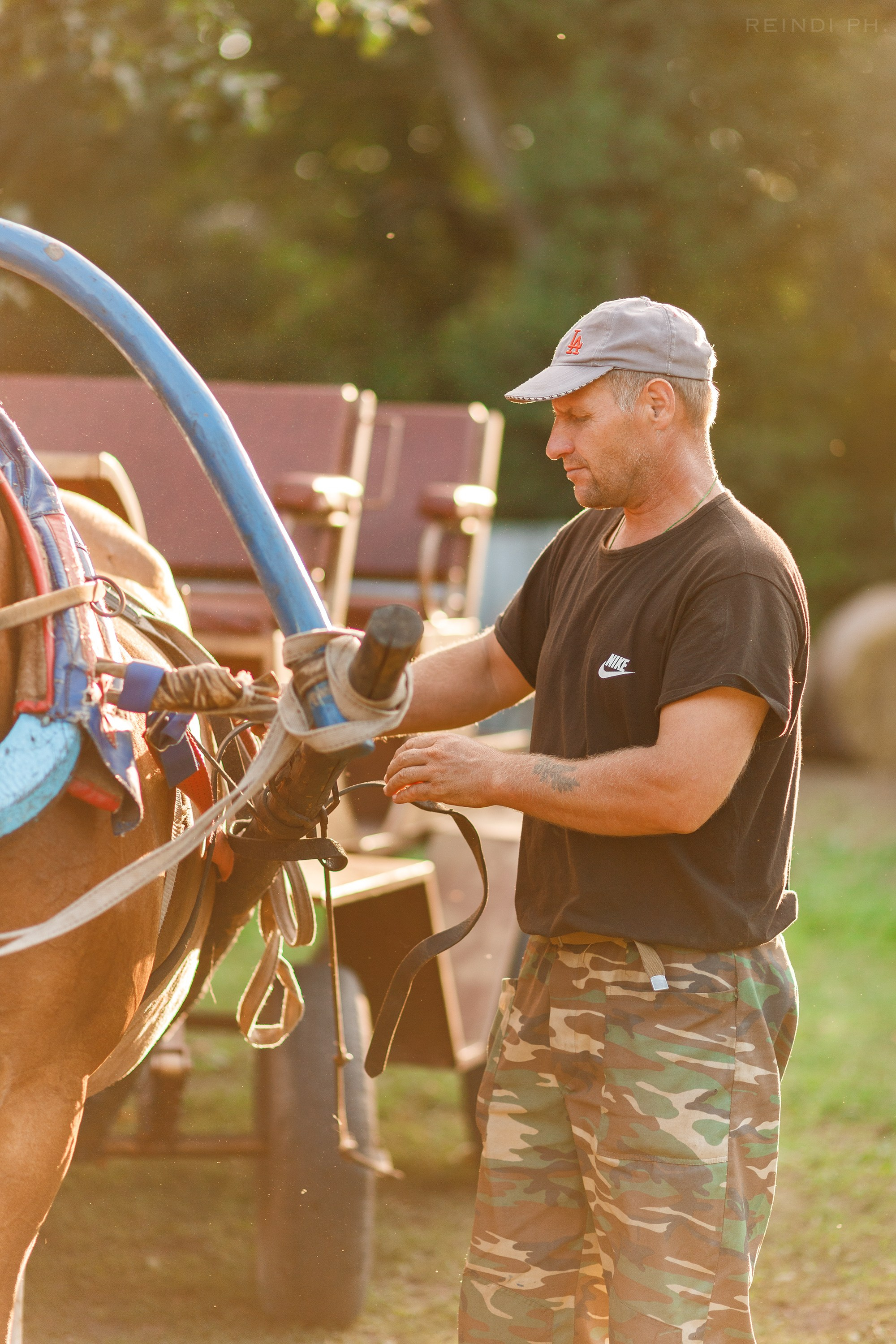 Horse show in the village. Kaja | fotograf we Wrocławiu | ludzie i psy