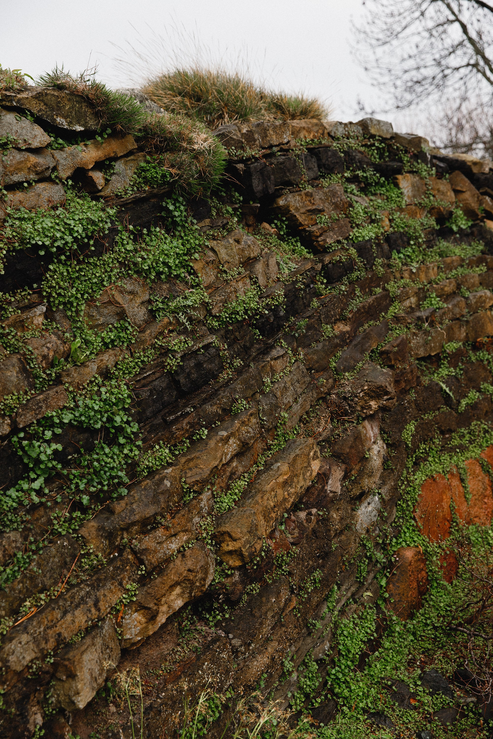 Botanical garden in Wroclaw. Kaja | fotograf we Wrocławiu | ludzie i psy