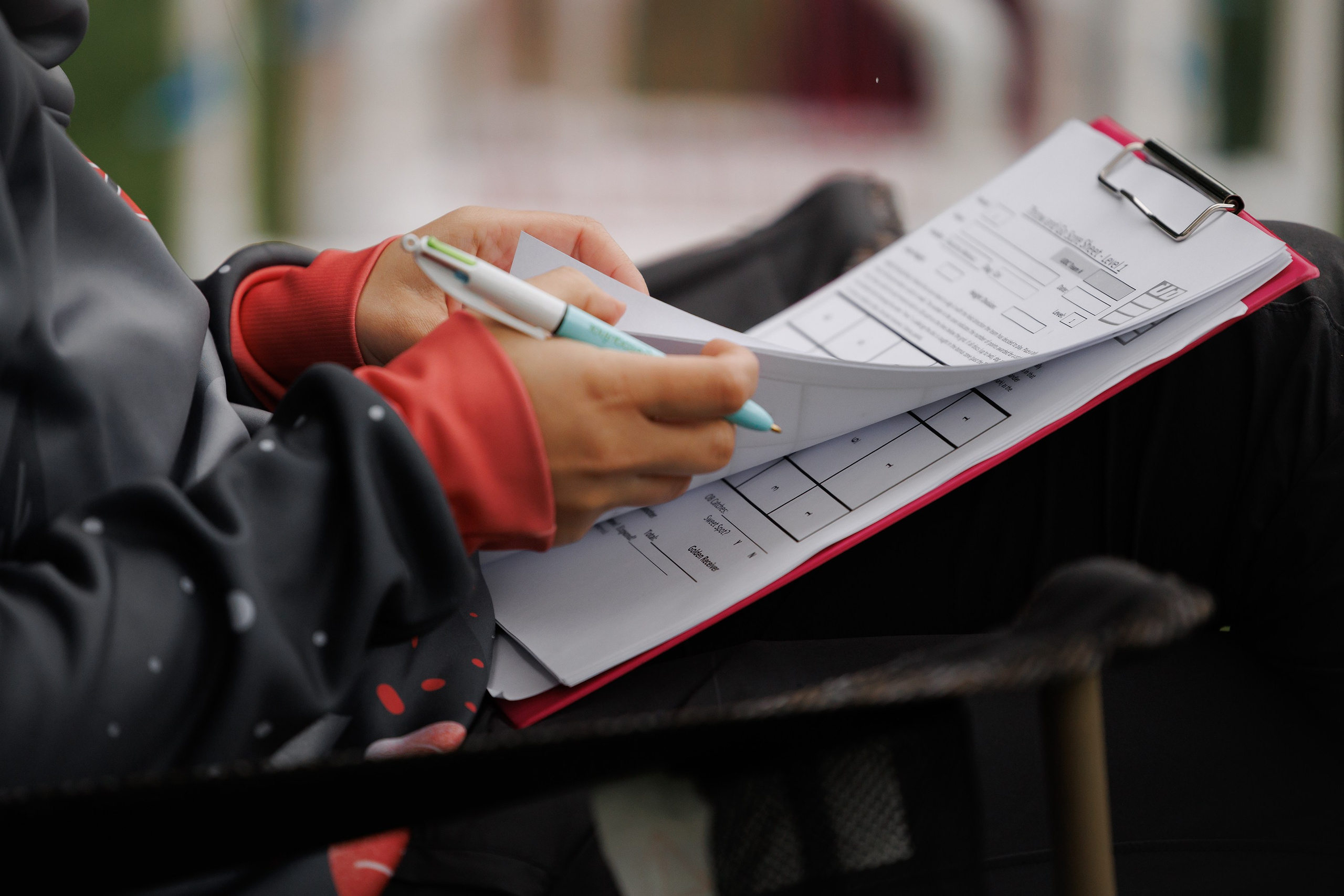 Latające psy, Wrocław'25. Kaja | fotograf psów we Wrocławiu