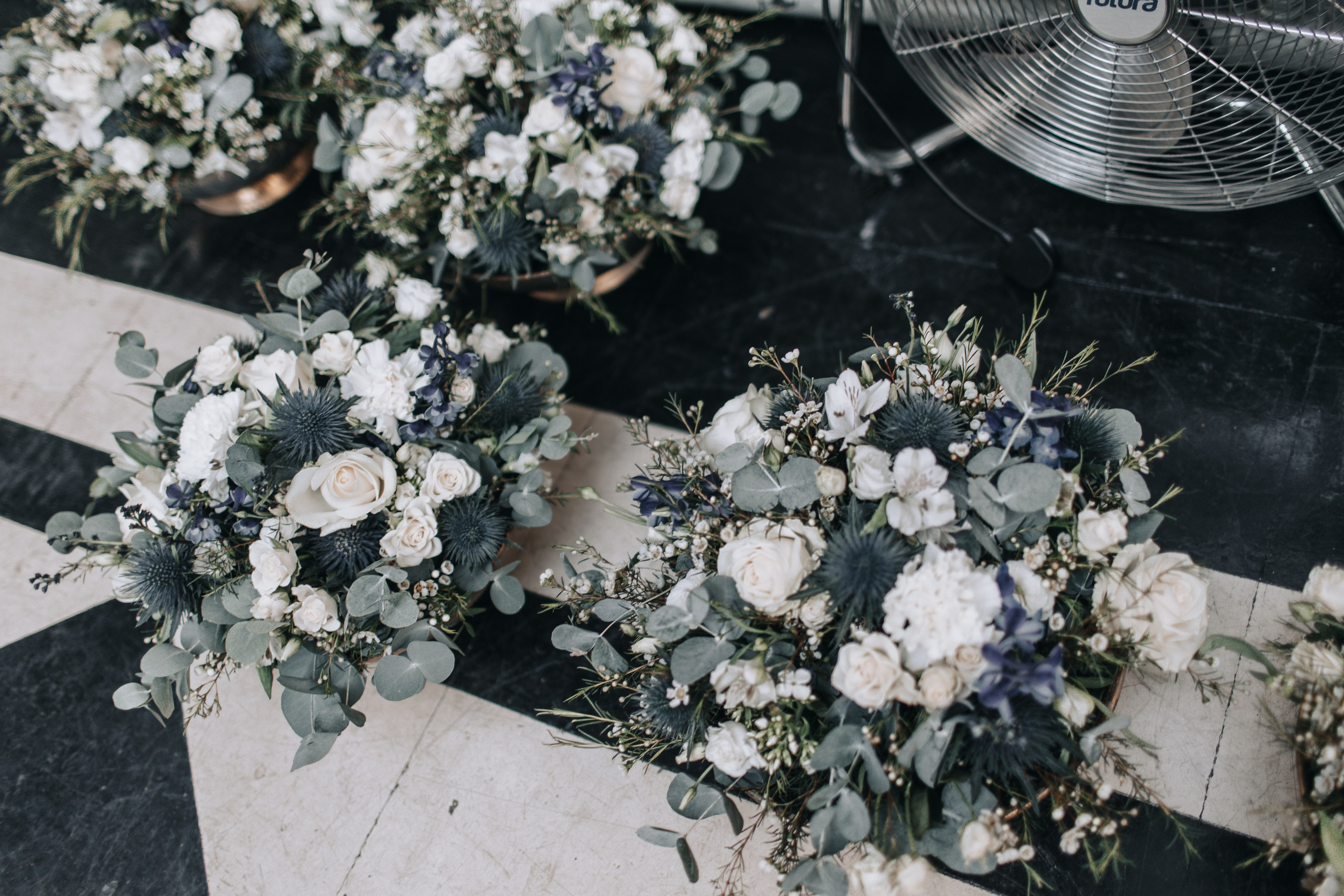 GEMMA + BIANCA. Main