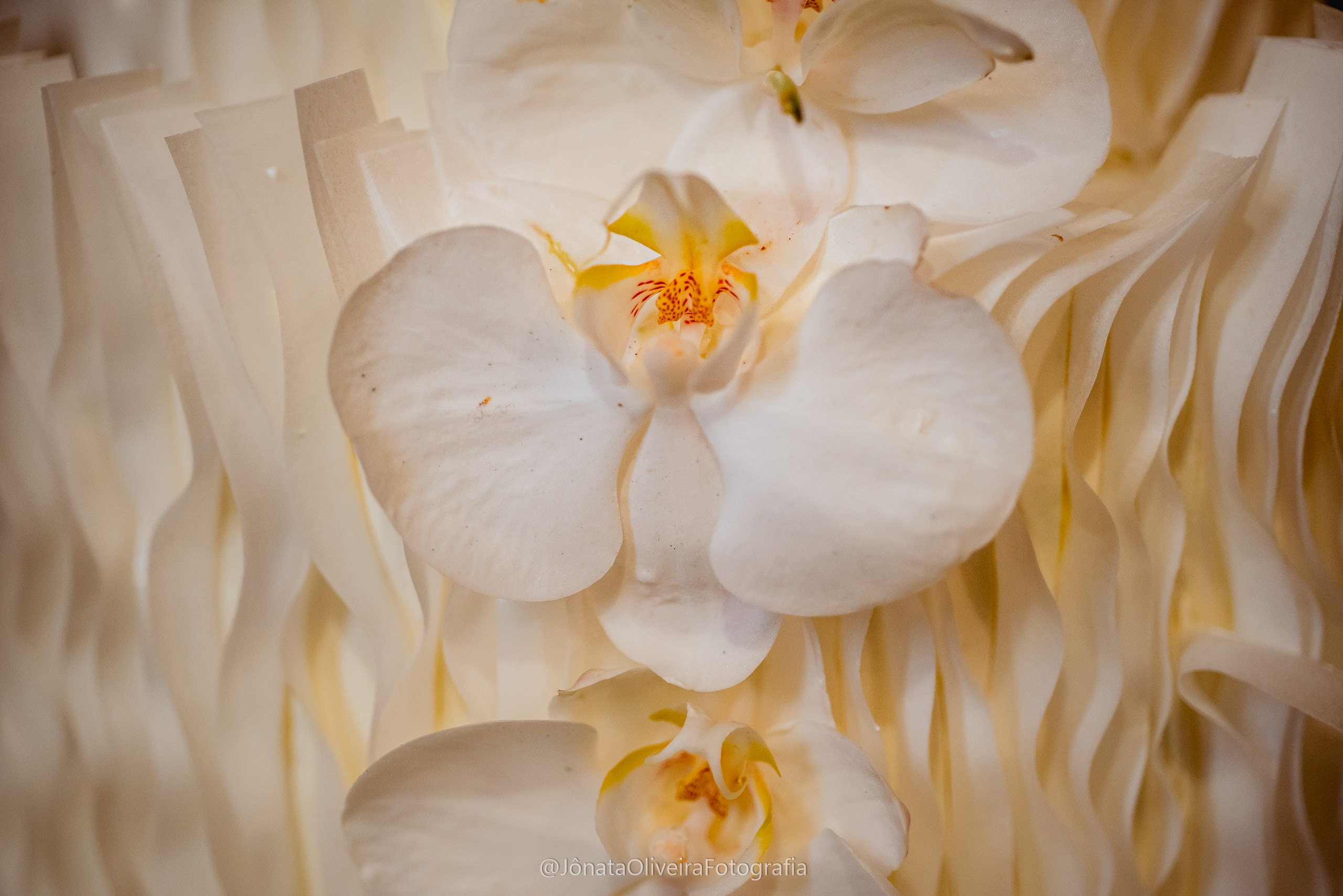 Sofia&Israel. Fotografia de casamentos e ensaios em avaré Jônata Oliveira