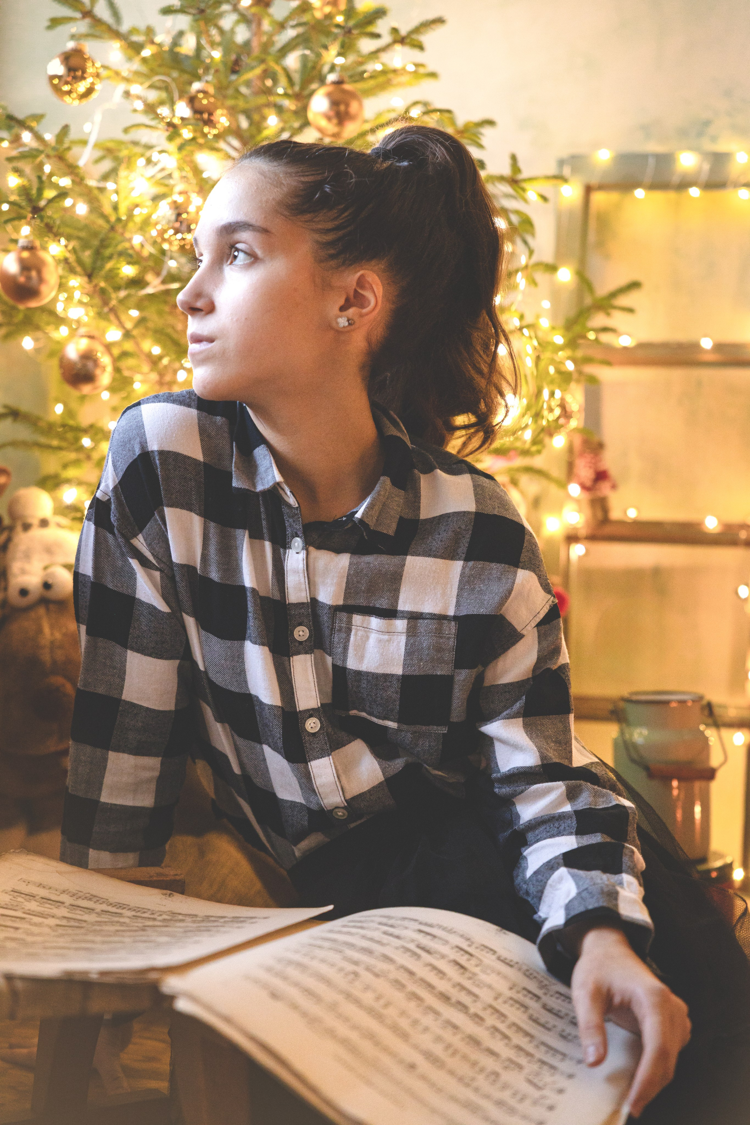 Porodično profesionalno novogodišnje fotografisanje Novi Sad