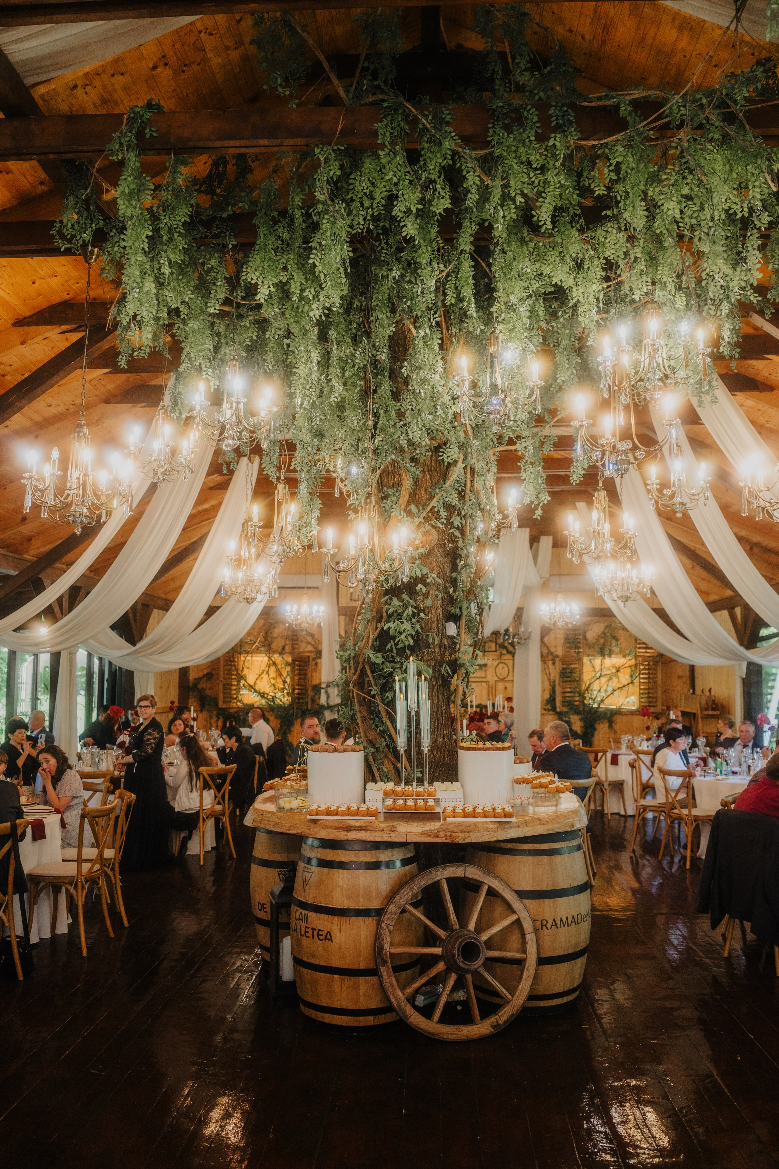 Diana și Paul. Visuals of Theodor — Wedding Photographer