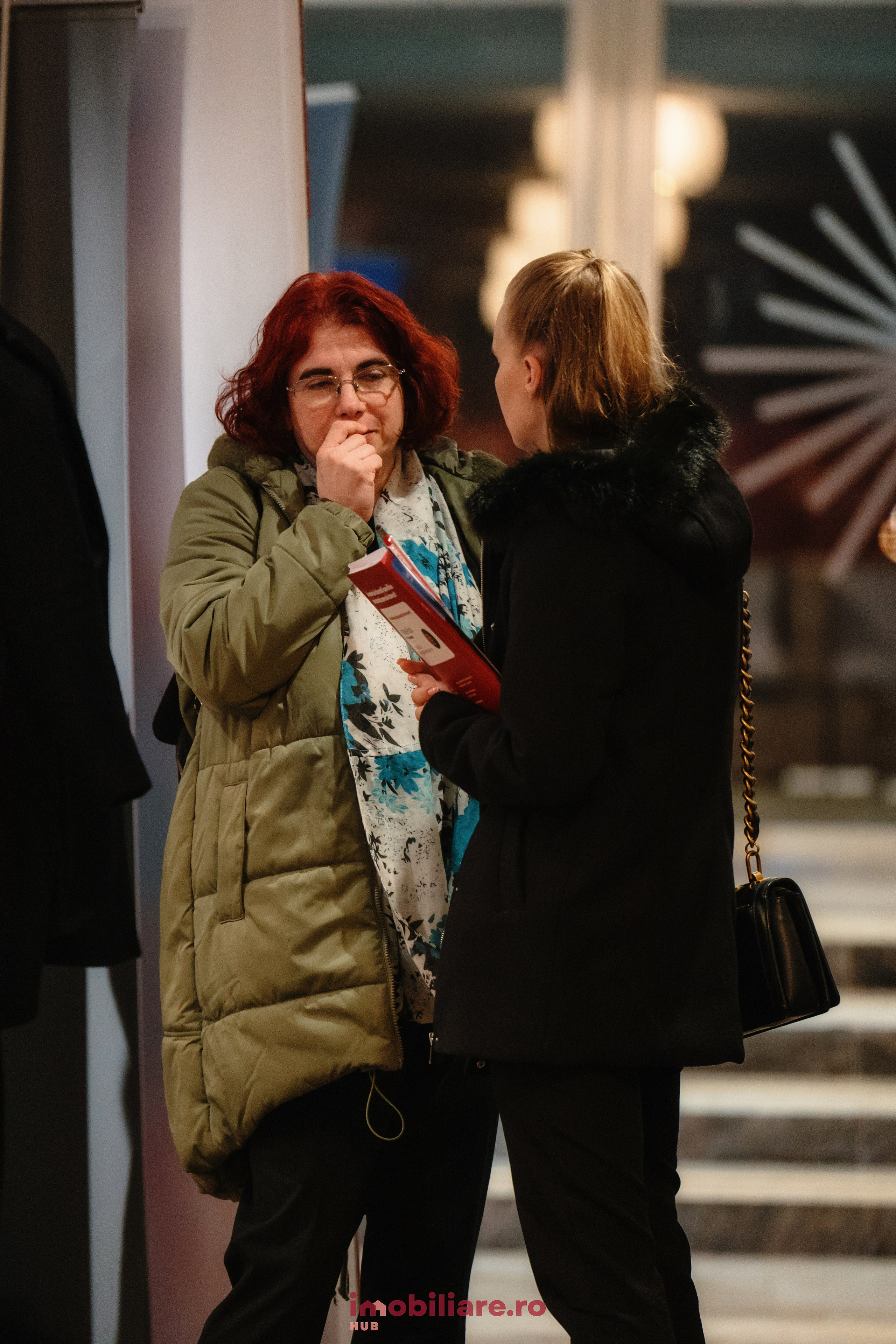 Imobliare HUB. Laurentiu Stefan StoryTeller