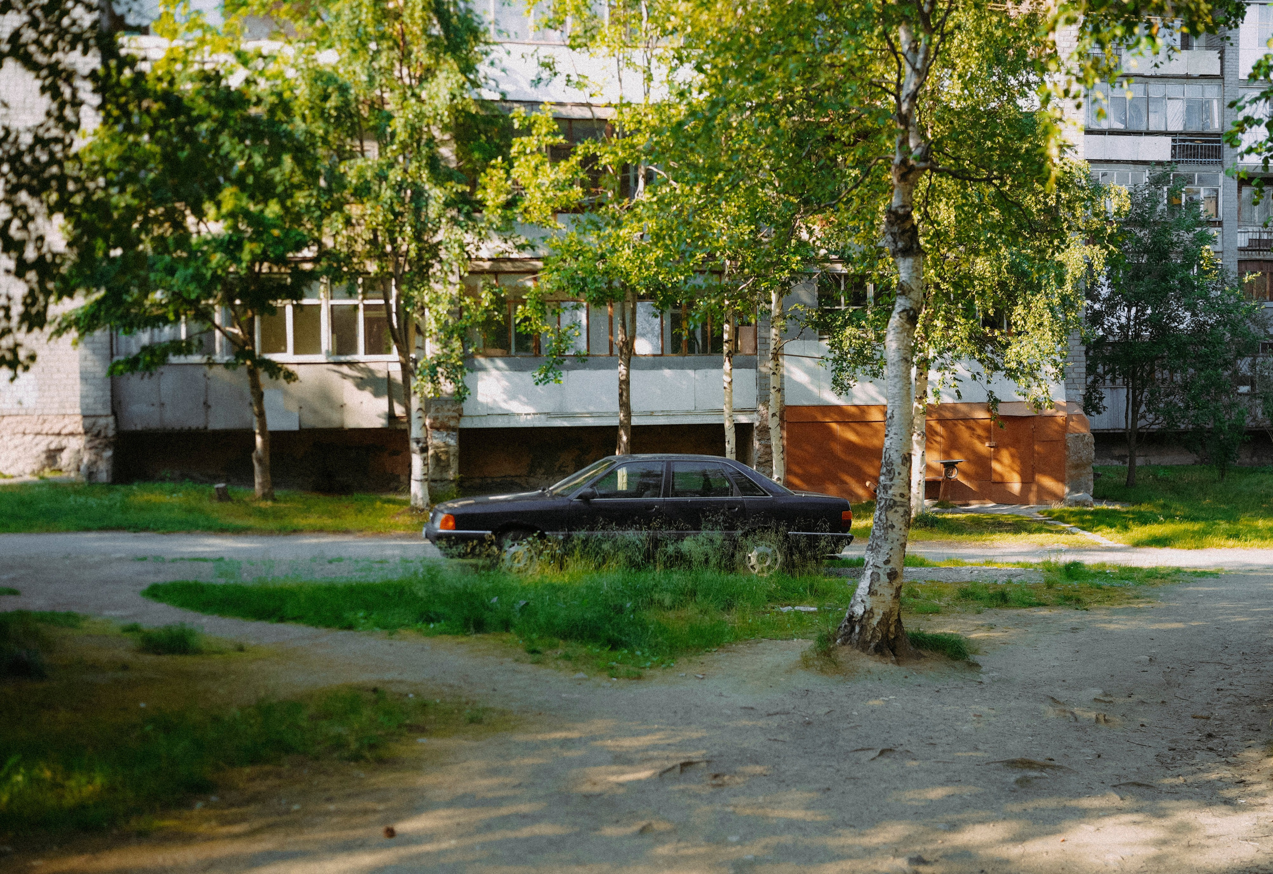 2025. Стрит-фотография, полная абсурда, идиотизма и красоты