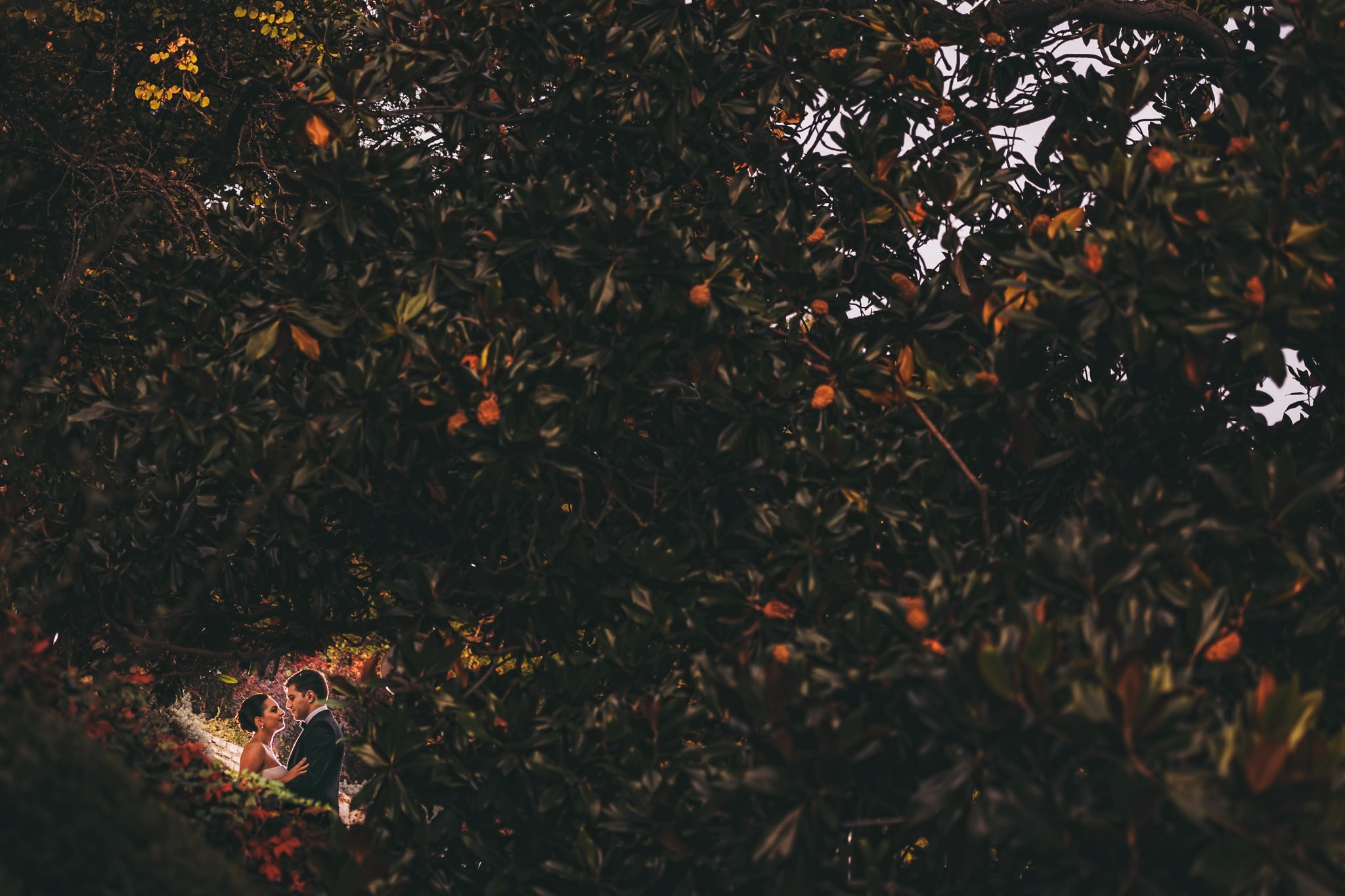 Fotografii nunta. Fotograf de nunta in Constanta|Marian Badescu