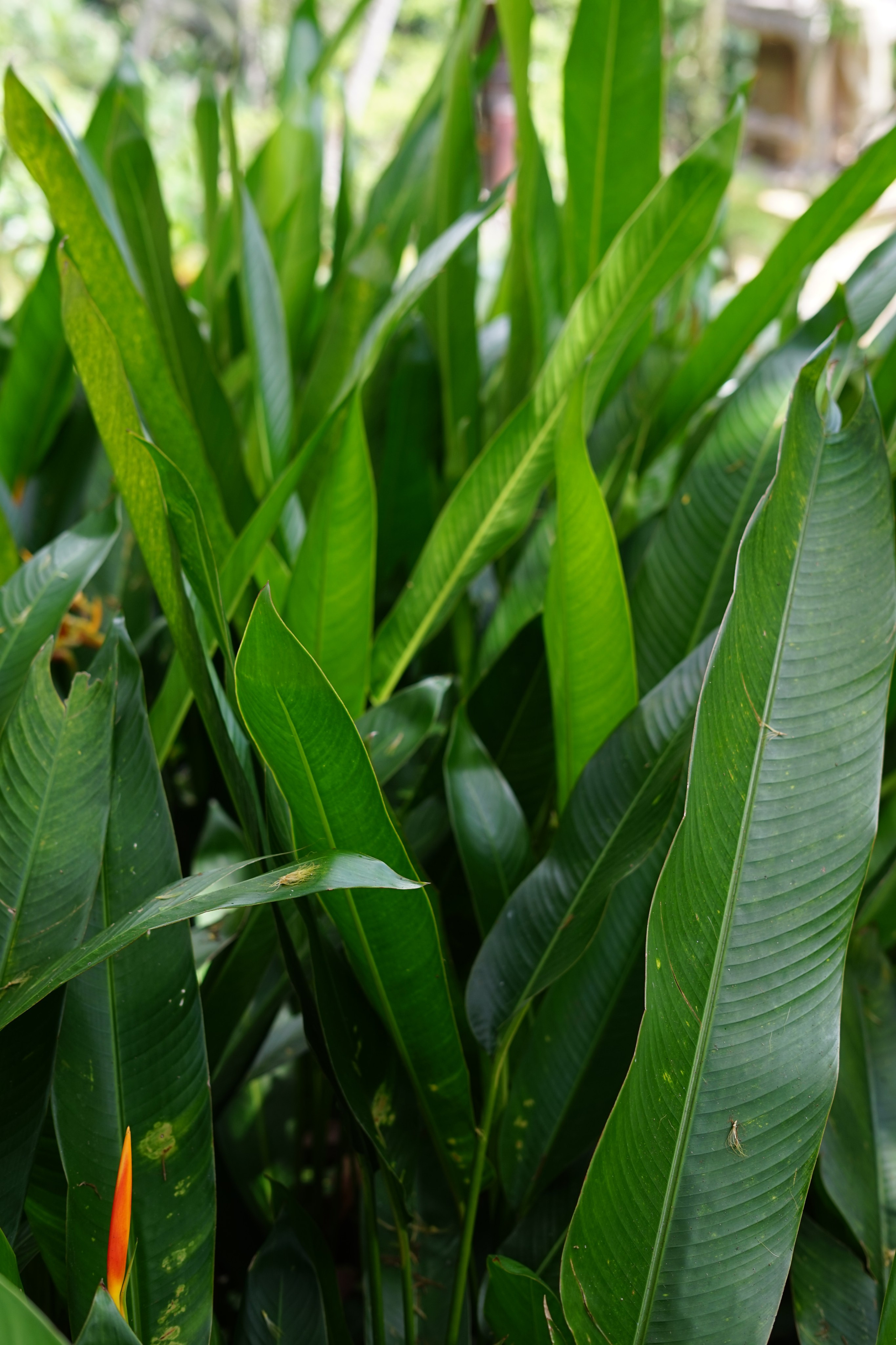 Bali. Hotel and travel photographer