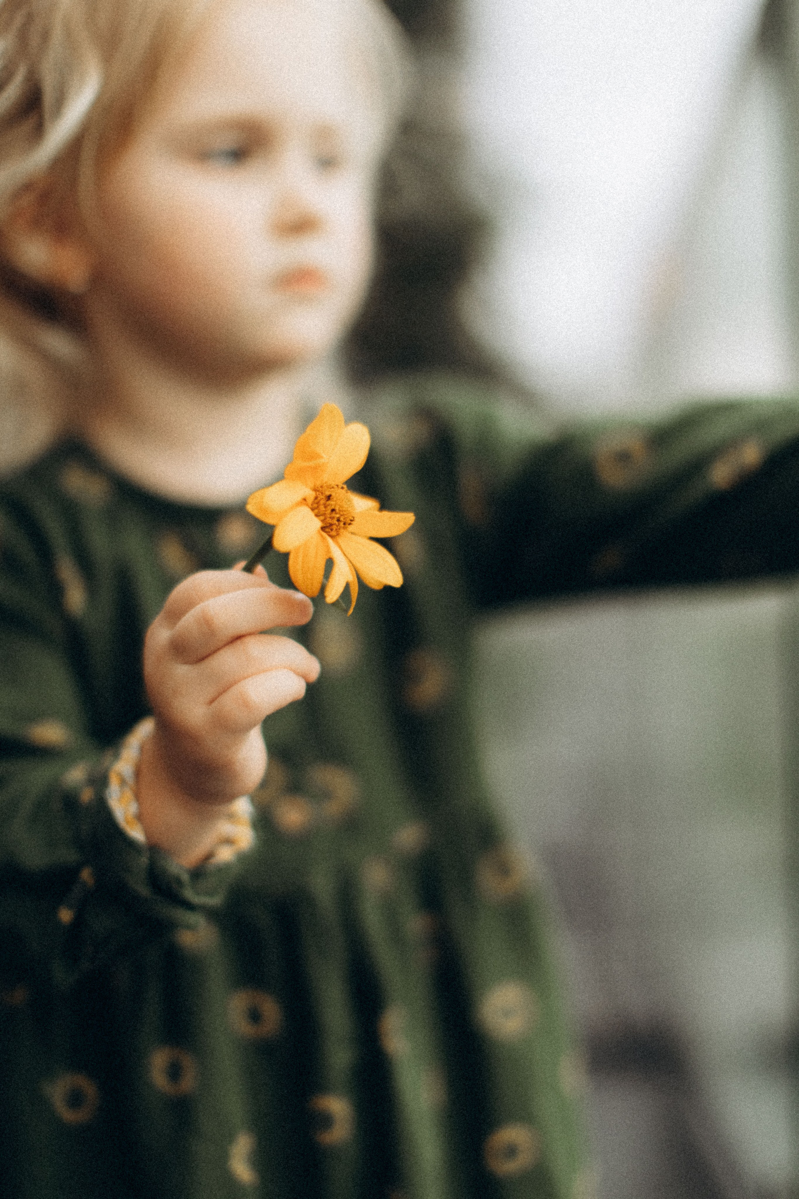 Полина. Сімейний фотограф Світлана Садовнікова