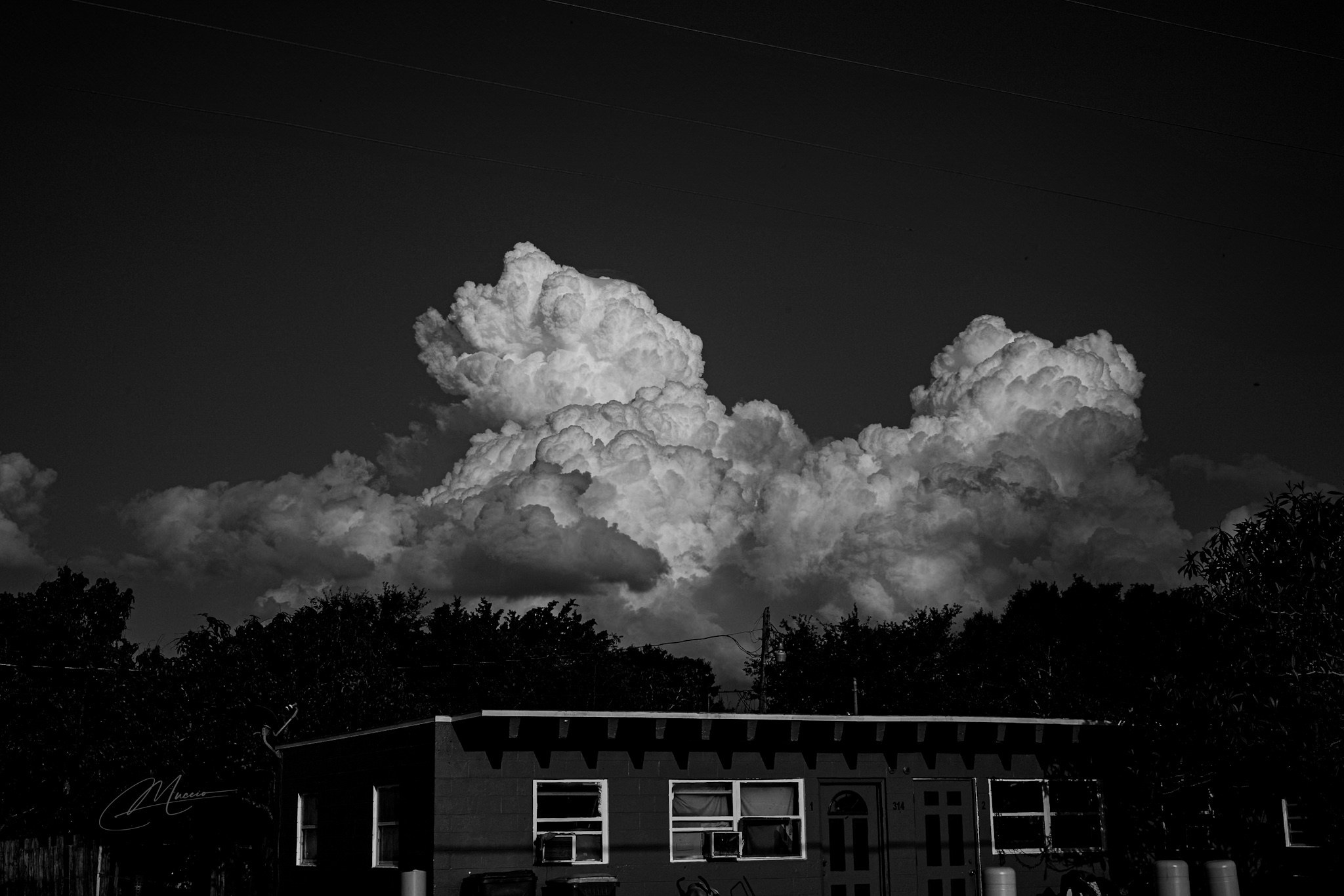 Immokolee. Out and About 239