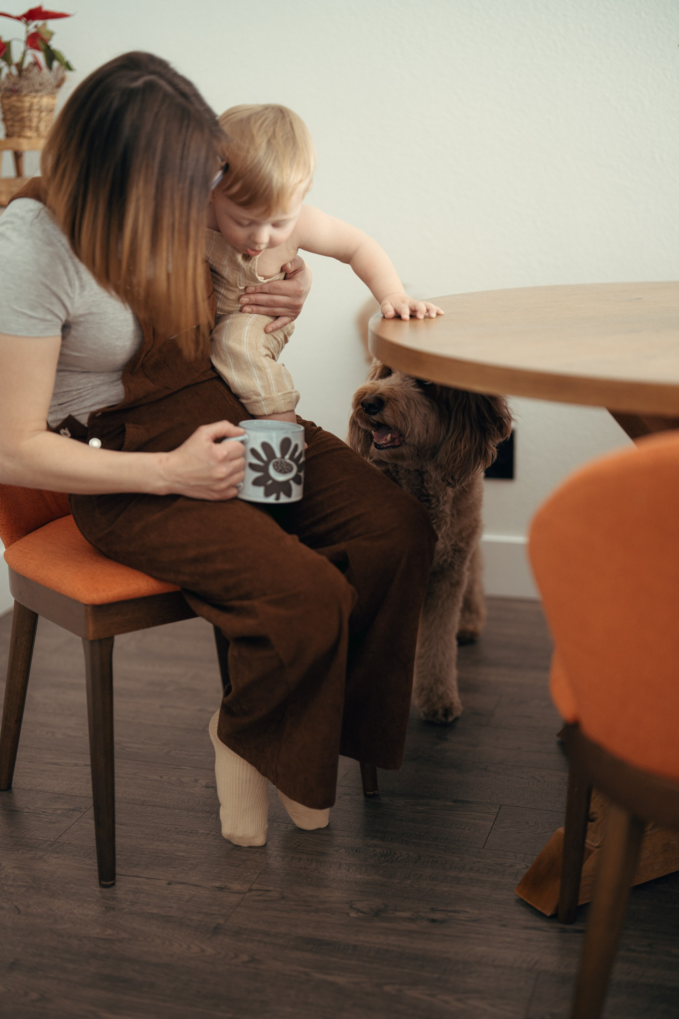 Liam Noah, Angela & Cooper. Wedding & elopement photographer Viktoriya Kravtsov. Las Vegas
