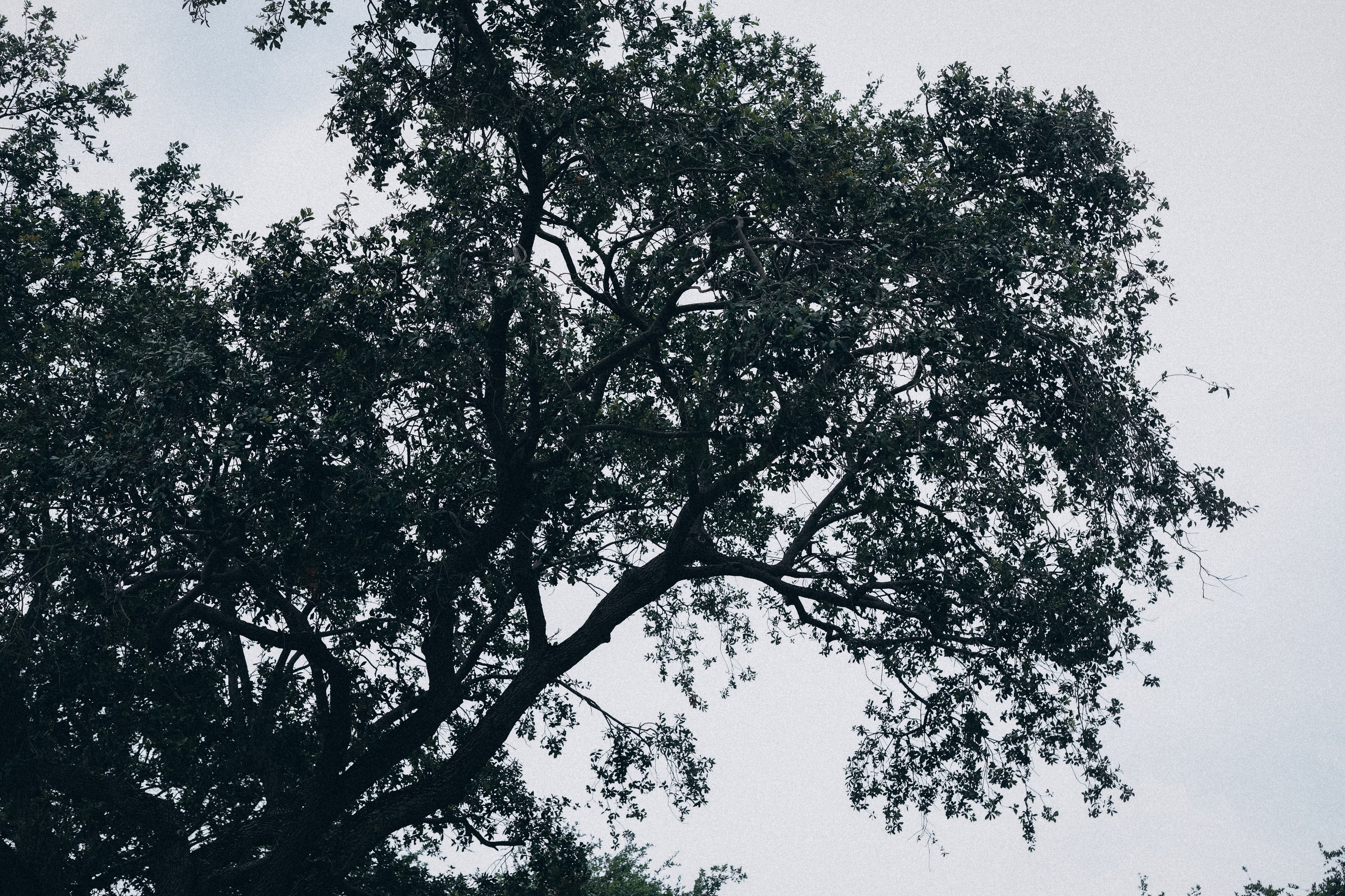 STREET. TETIANA UDOVYCHENKO PORTRAIT PHOTOGRAPHER
