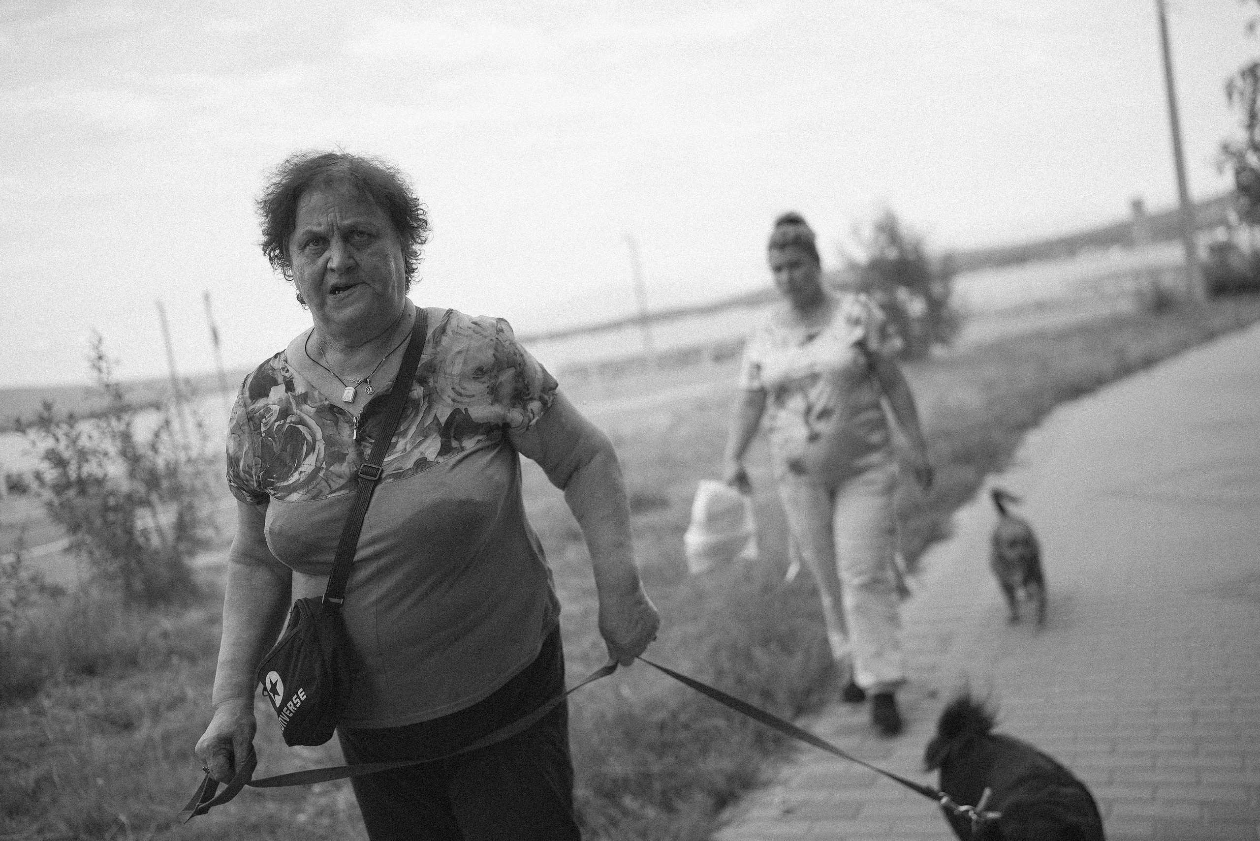 2025. Стрит-фотография, полная абсурда, идиотизма и красоты