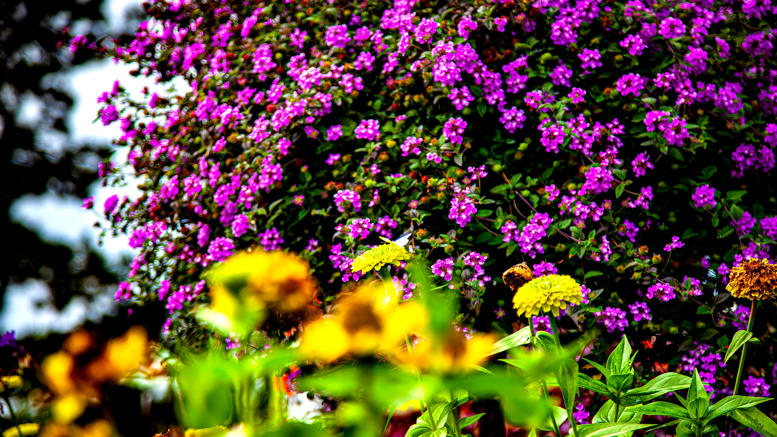 187.Mainau.Germany.24.9.2024. Путешествия в формате 360......