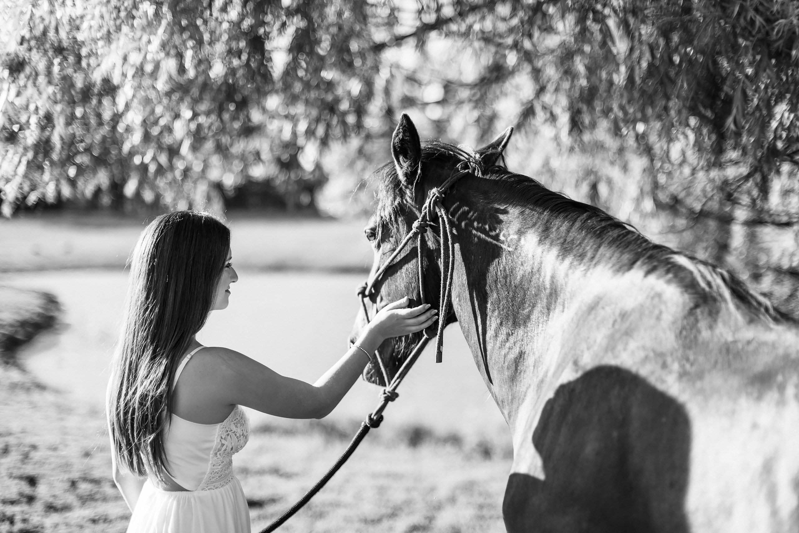 30.05.24 Family Photoshoot. Wedding family event photographer in Chicago Nick Yushevich