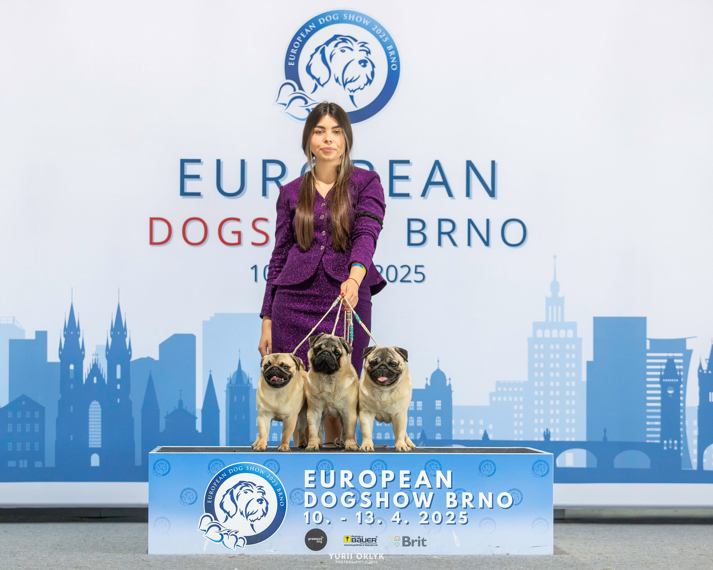 Dog Shows. Yurii Orlyk Photography